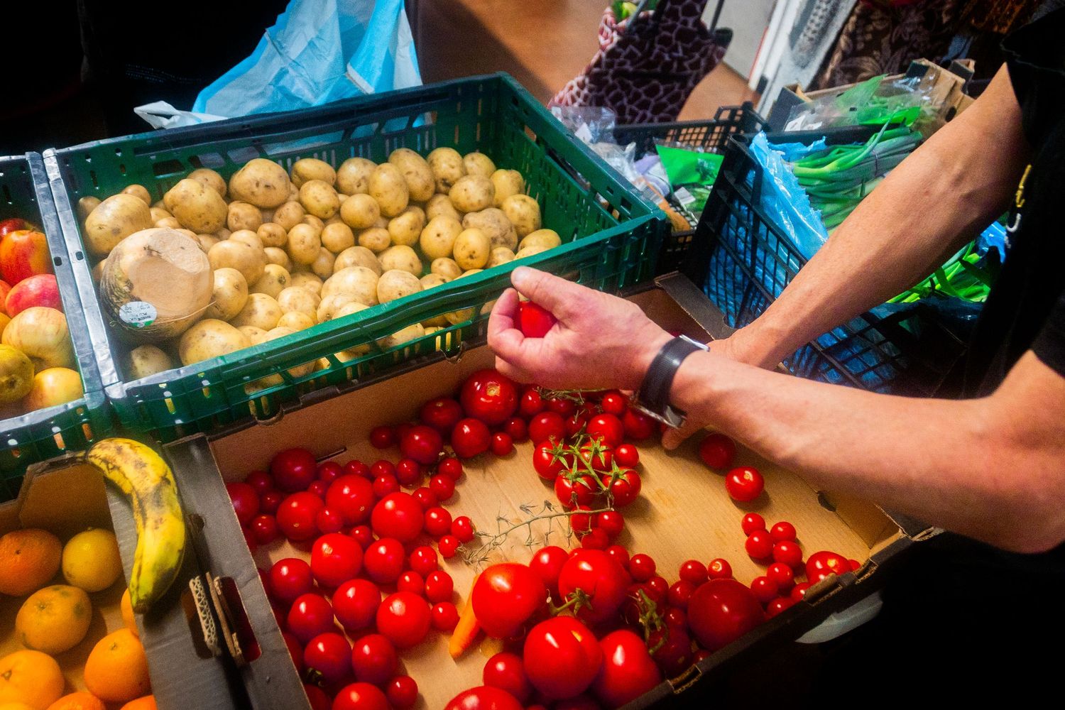 Fresh produce including bright red tomatoes and potatoes displayed in green plastic crates.