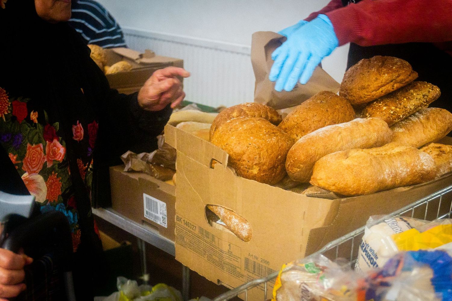 Fresh bread loaves arranged in cardboard boxes for food distribution.