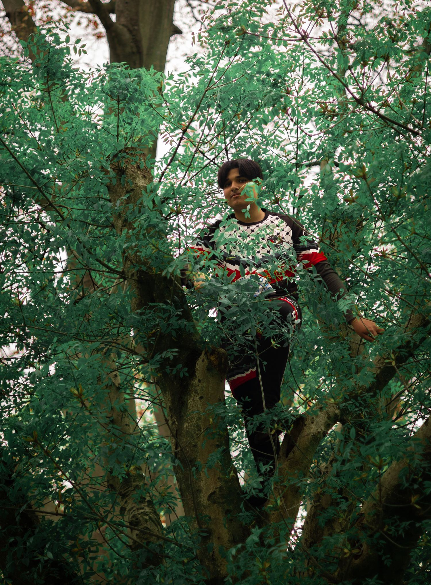 Figure climbing among lush green tree branches in an outdoor setting.