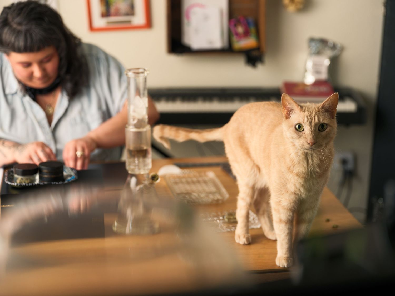 A ginger cat watches intently while coffee brewing takes place on a counter.