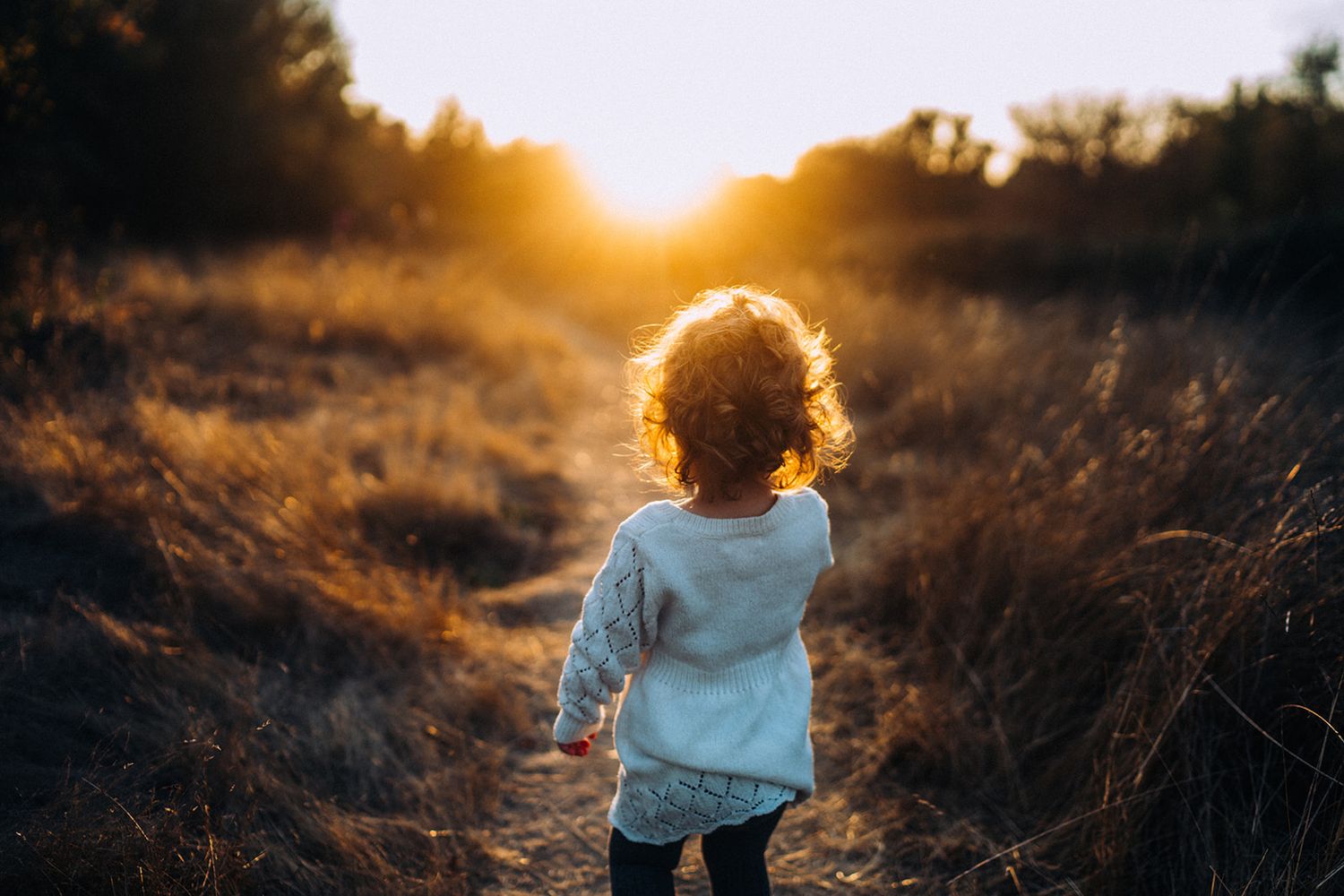 Sunlit silhouette in a field during golden hour with warm atmospheric lighting.