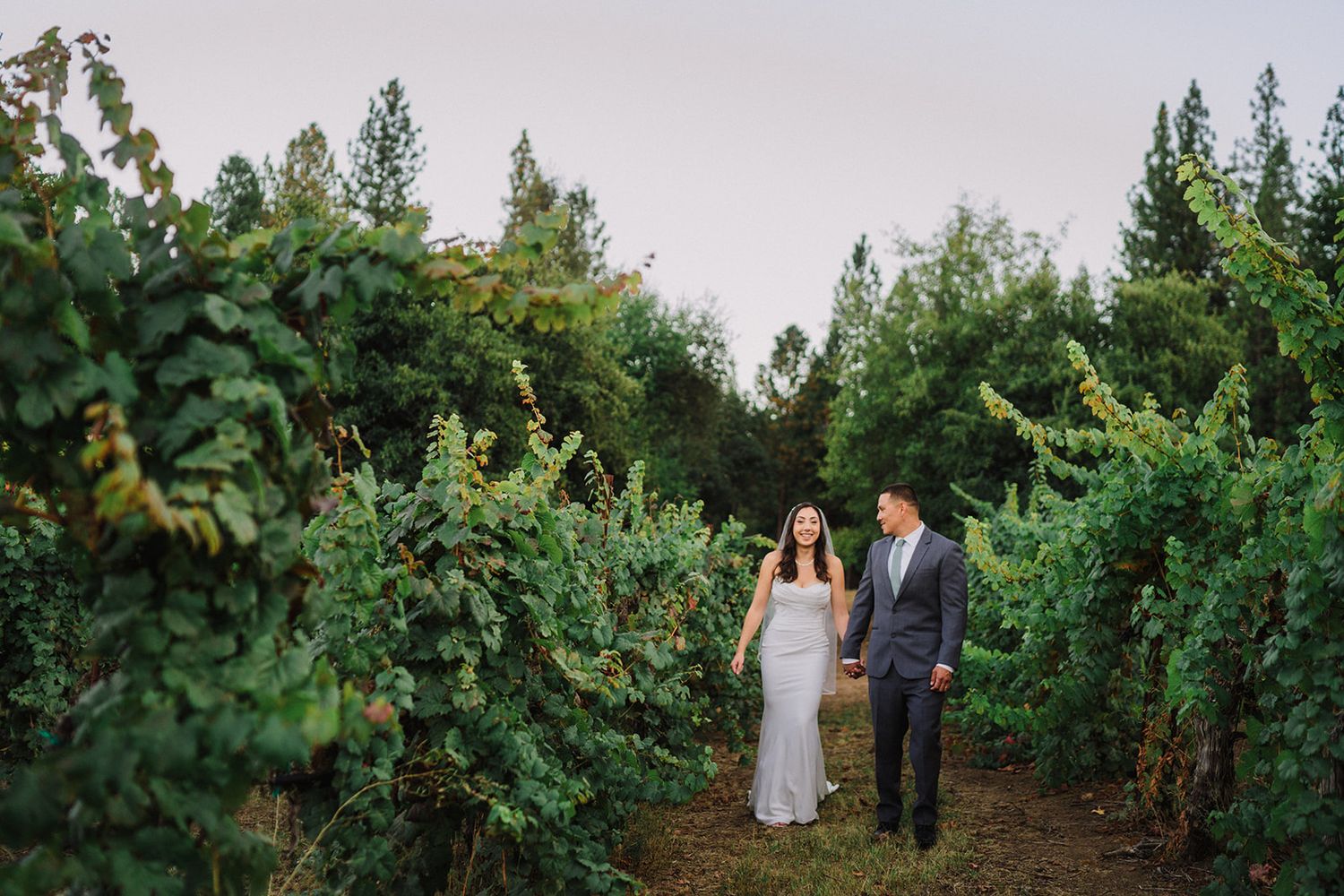 Couple walks hand in hand through lush green vineyard rows at dusk, woman in silver gown, man in gray suit.