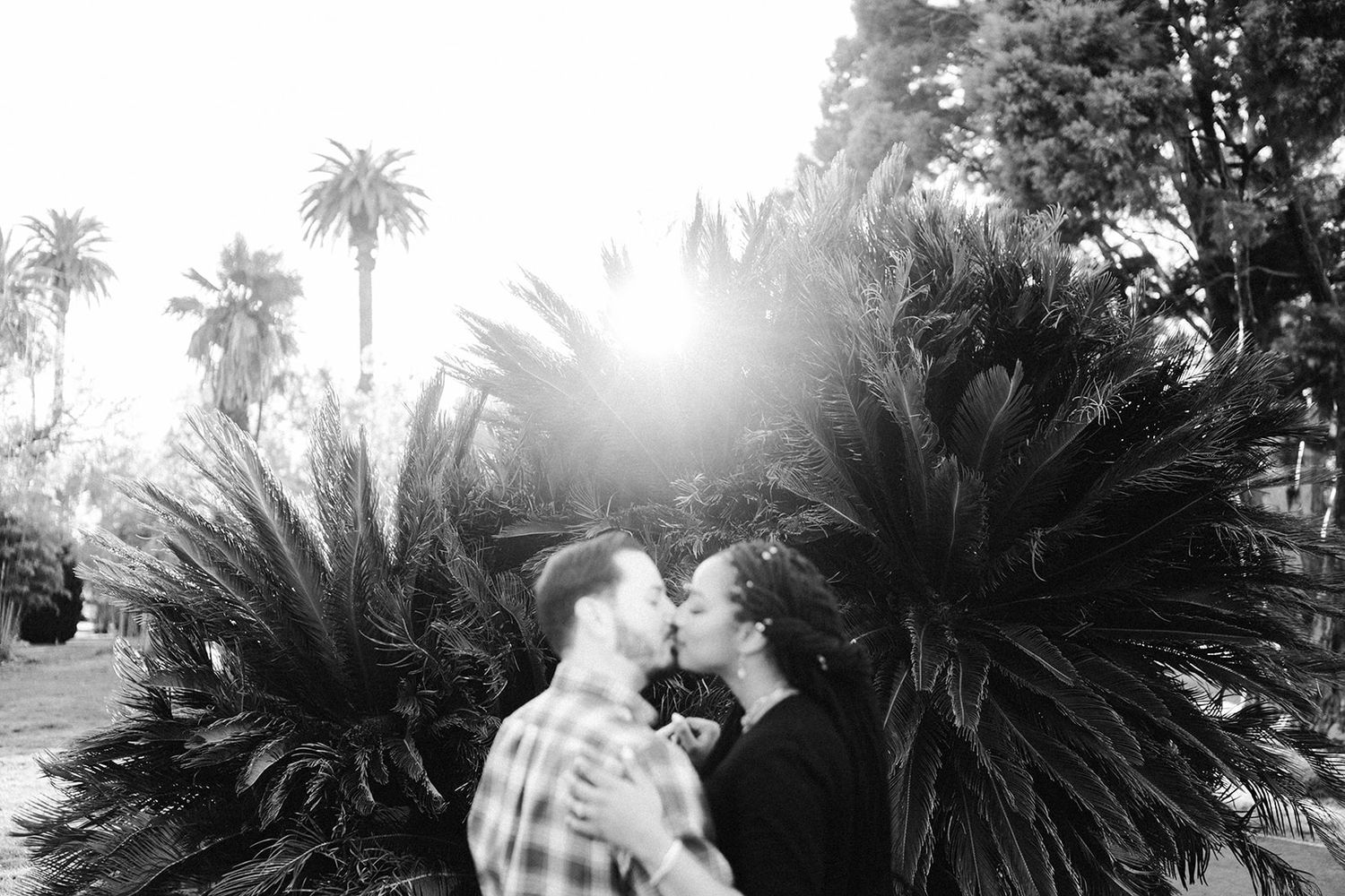 Palm trees and tropical foliage create silhouettes against bright sunlight.