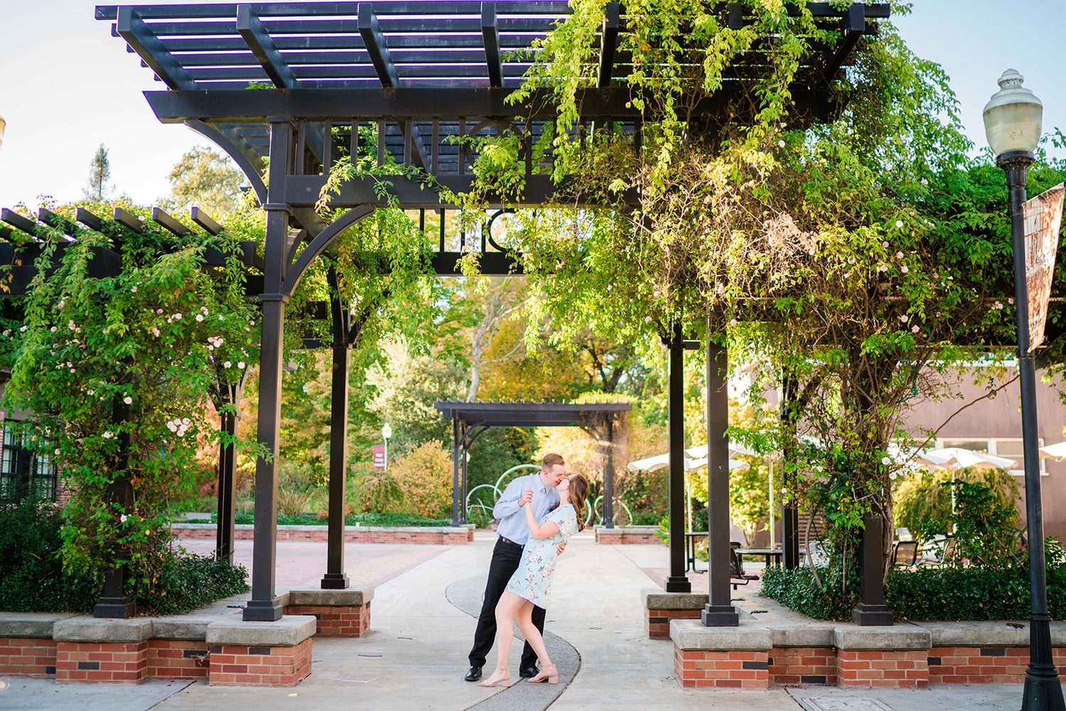 A modern pergola walkway with climbing plants creates a shaded garden path.