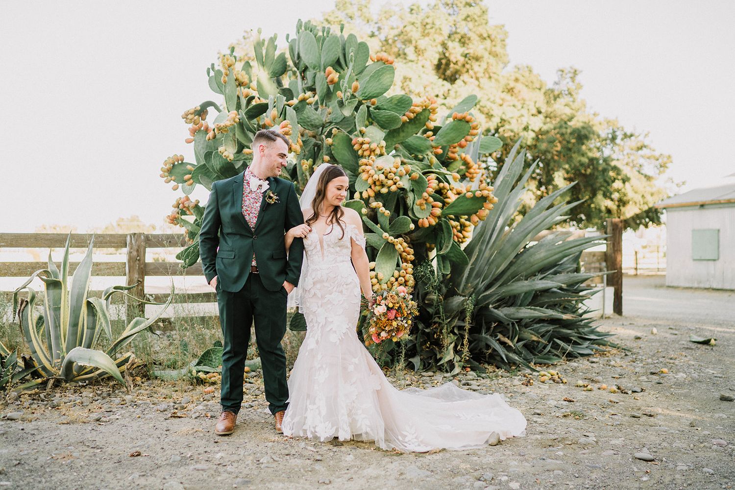 Wedding couple photographed in a garden setting with lush greenery and succulents.