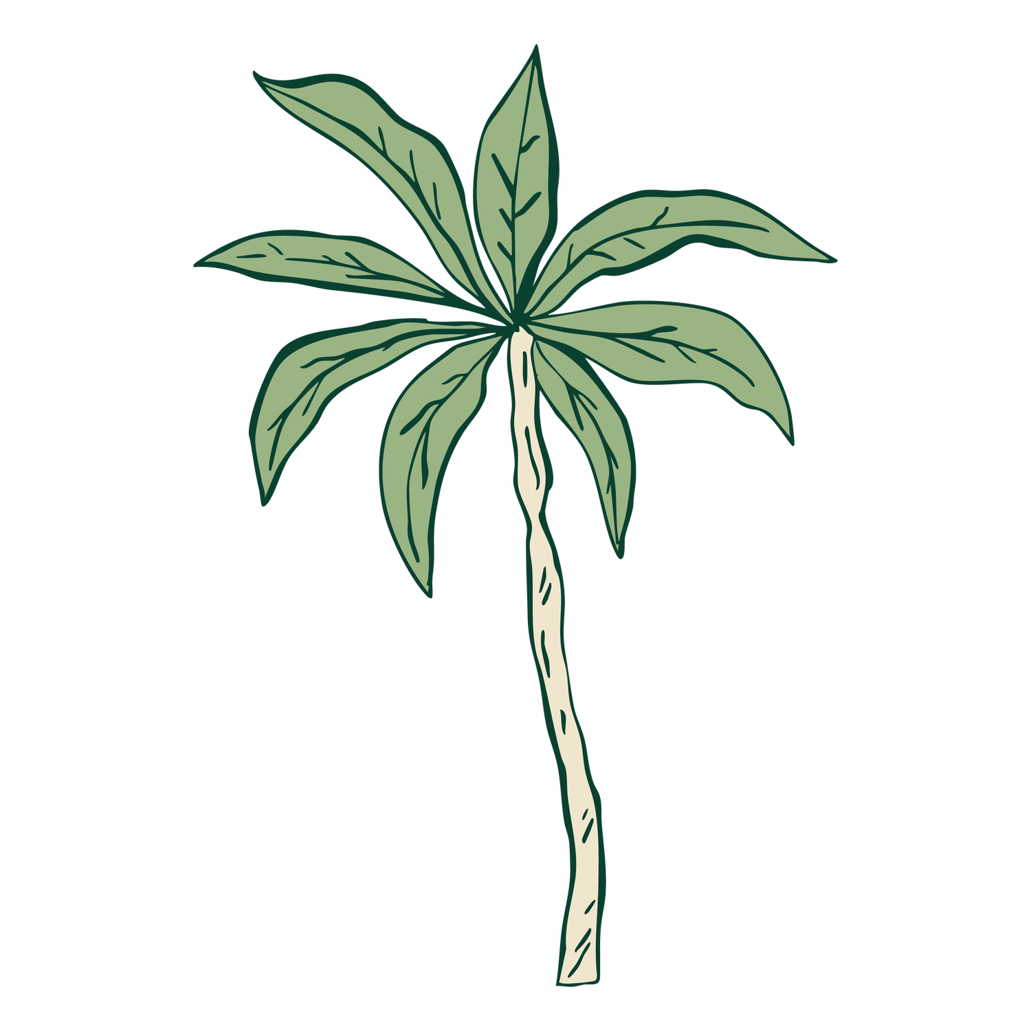 A simple cartoon illustration of a tropical palm tree with green leaves and a tall slender trunk on white background.