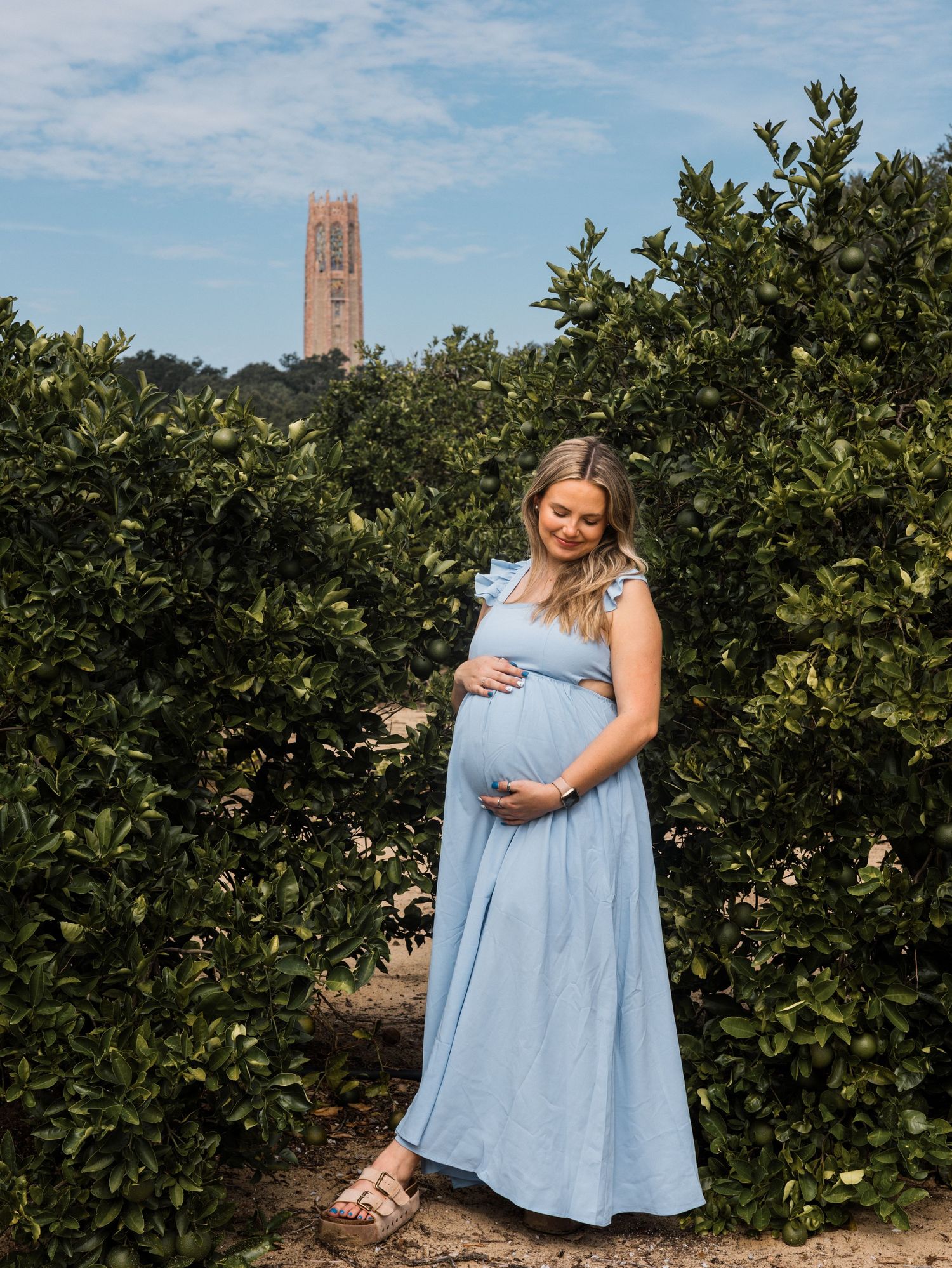 A romantic maternity photo shoot in a lush citrus grove shows a woman in a flowing light blue dress among green foliage.