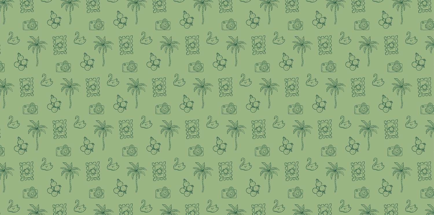 Green seamless pattern with palm trees, cameras, passports, and travel icons on sage background.