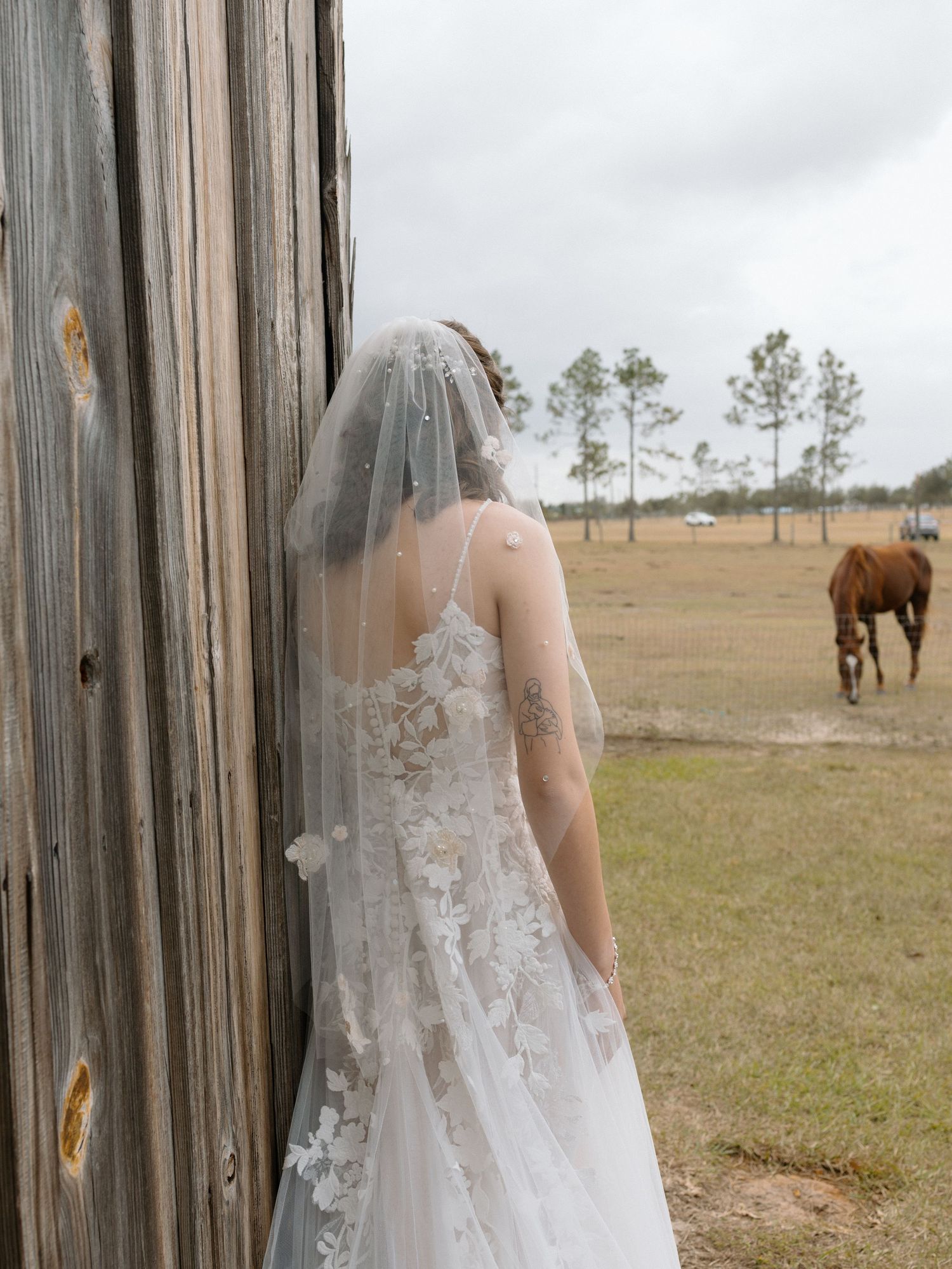 Romantic view of a bride in a flowing lace wedding dress overlooking a scenic field with horses in the background.