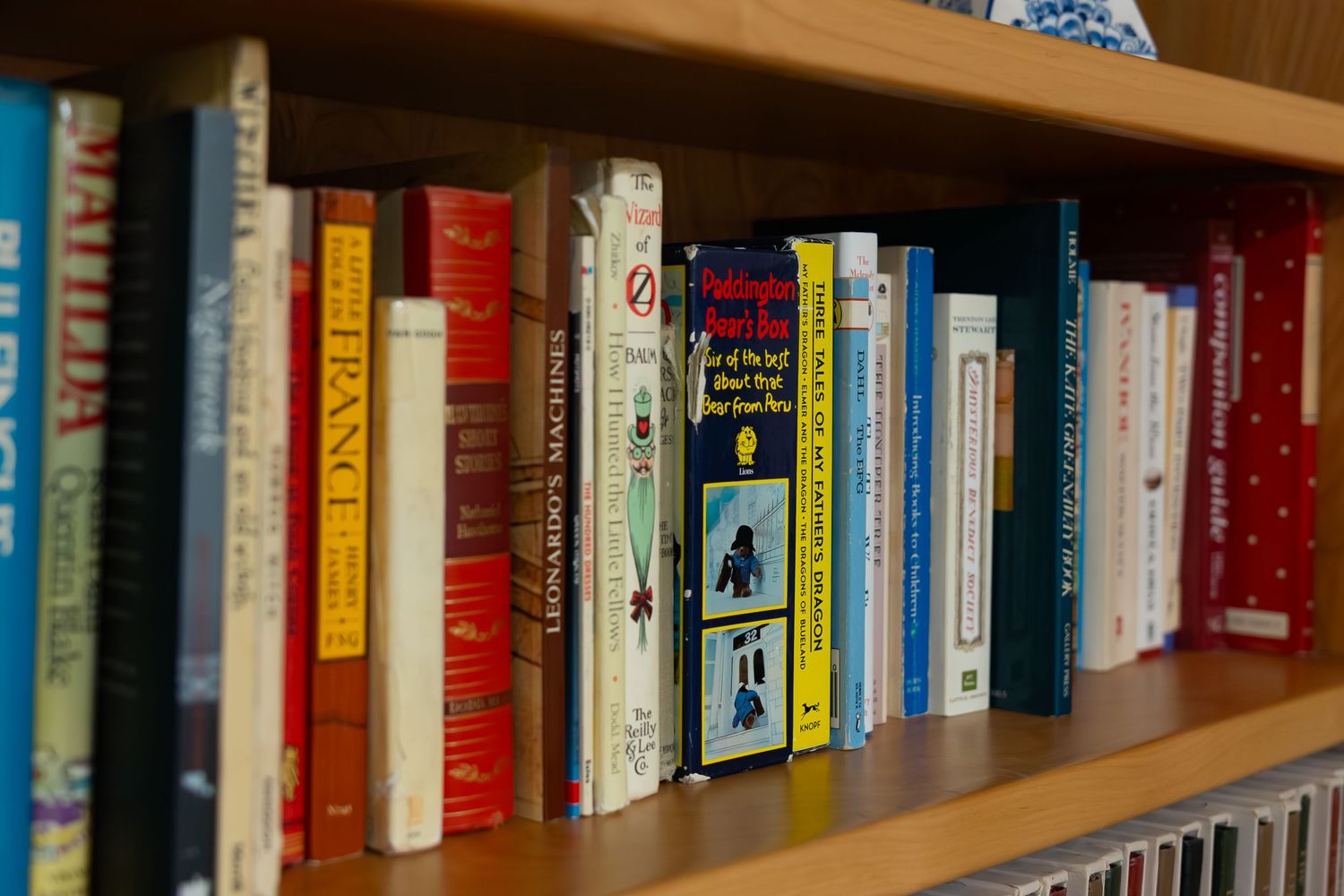 Photo of books on a bookshelf