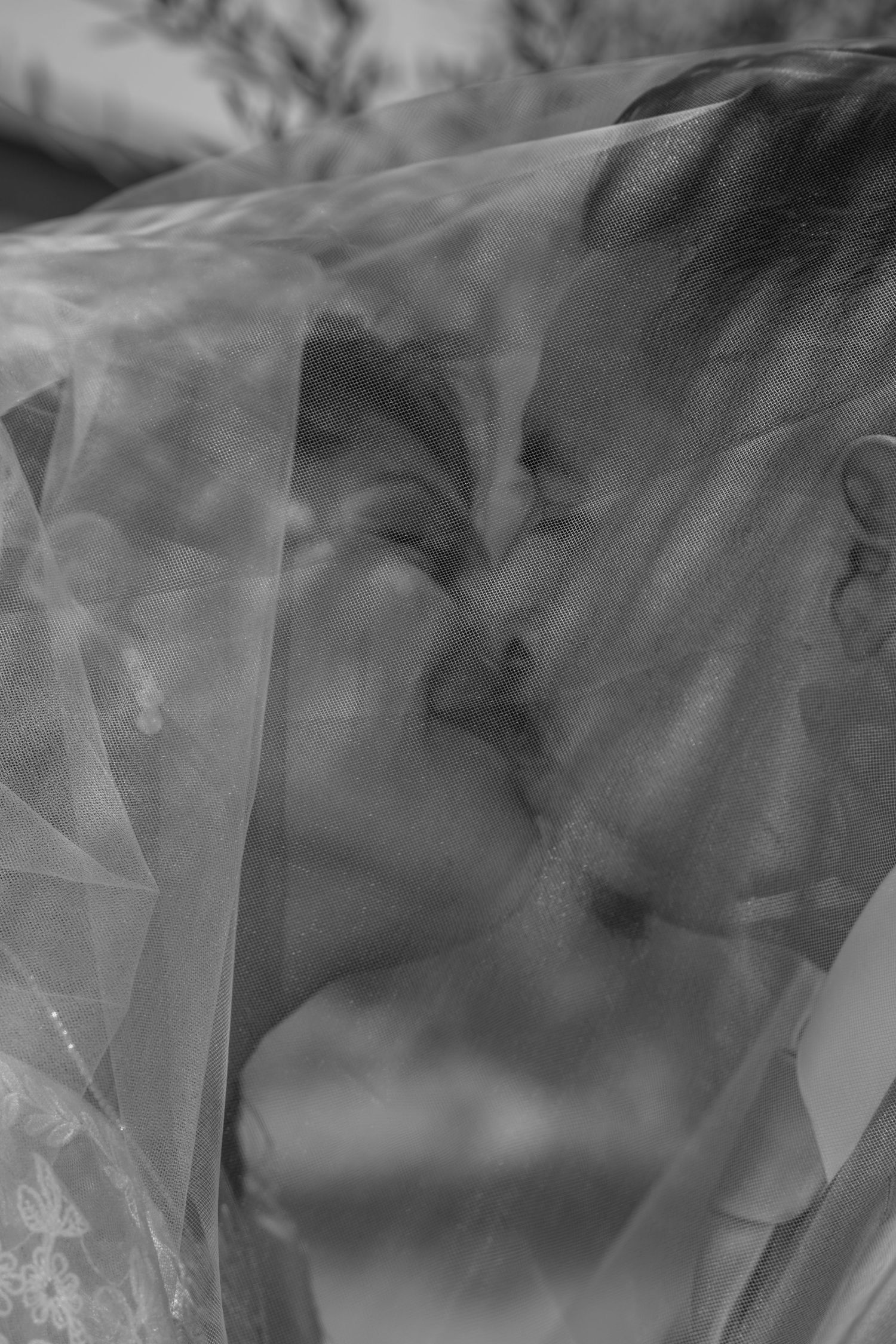 Black and white intimate photo of a bride and groom kissing under a sheer wedding veil.