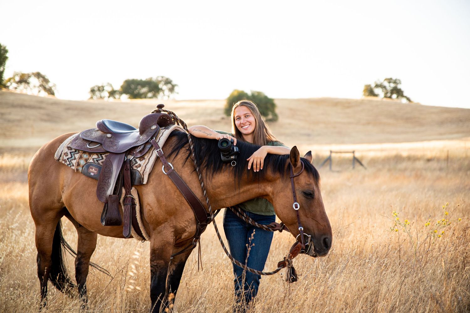 Three horses with western saddles standing in a golden field during sunset.