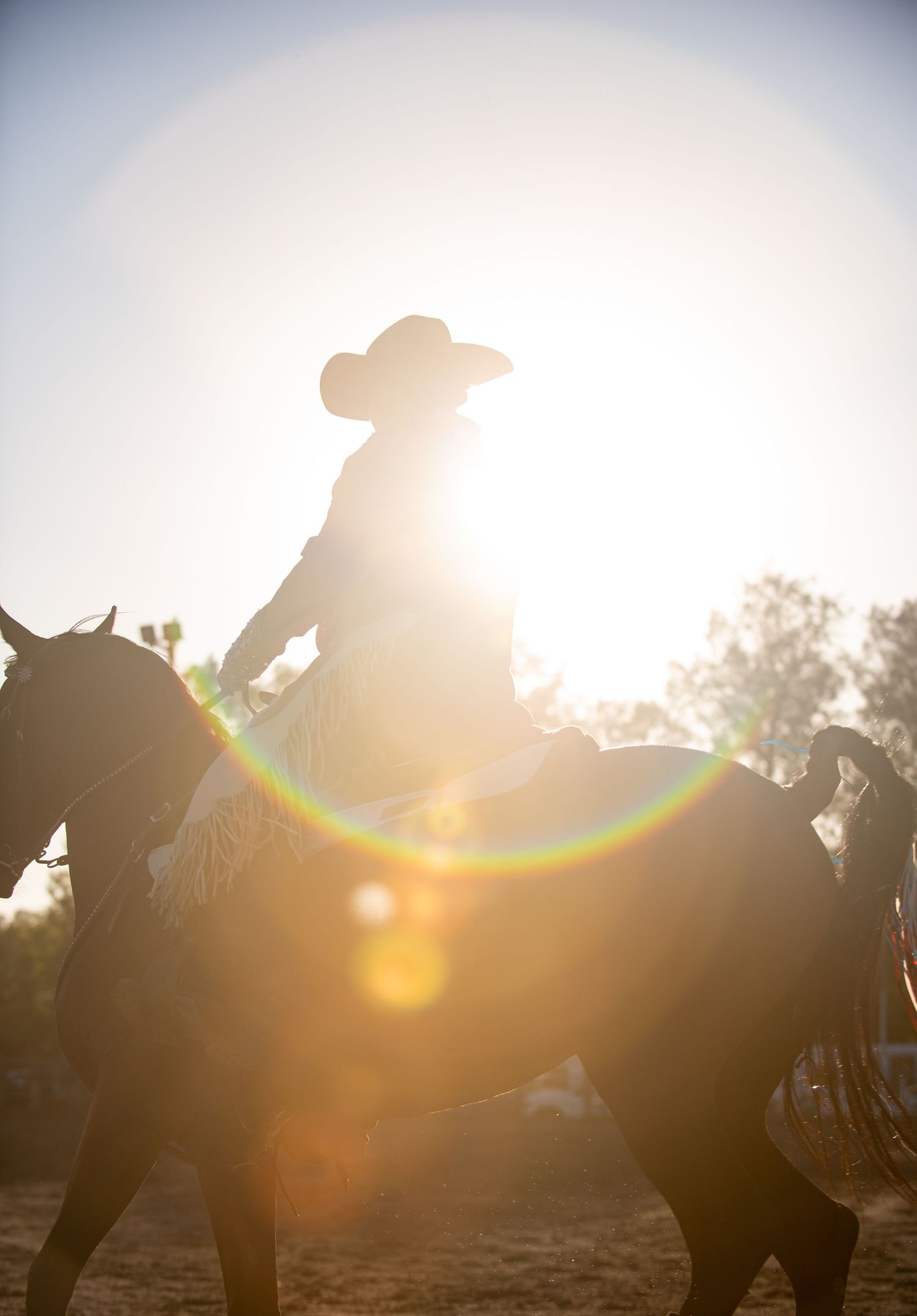 Silhouettes of horses and riders backlit by golden sunlight during sunset.