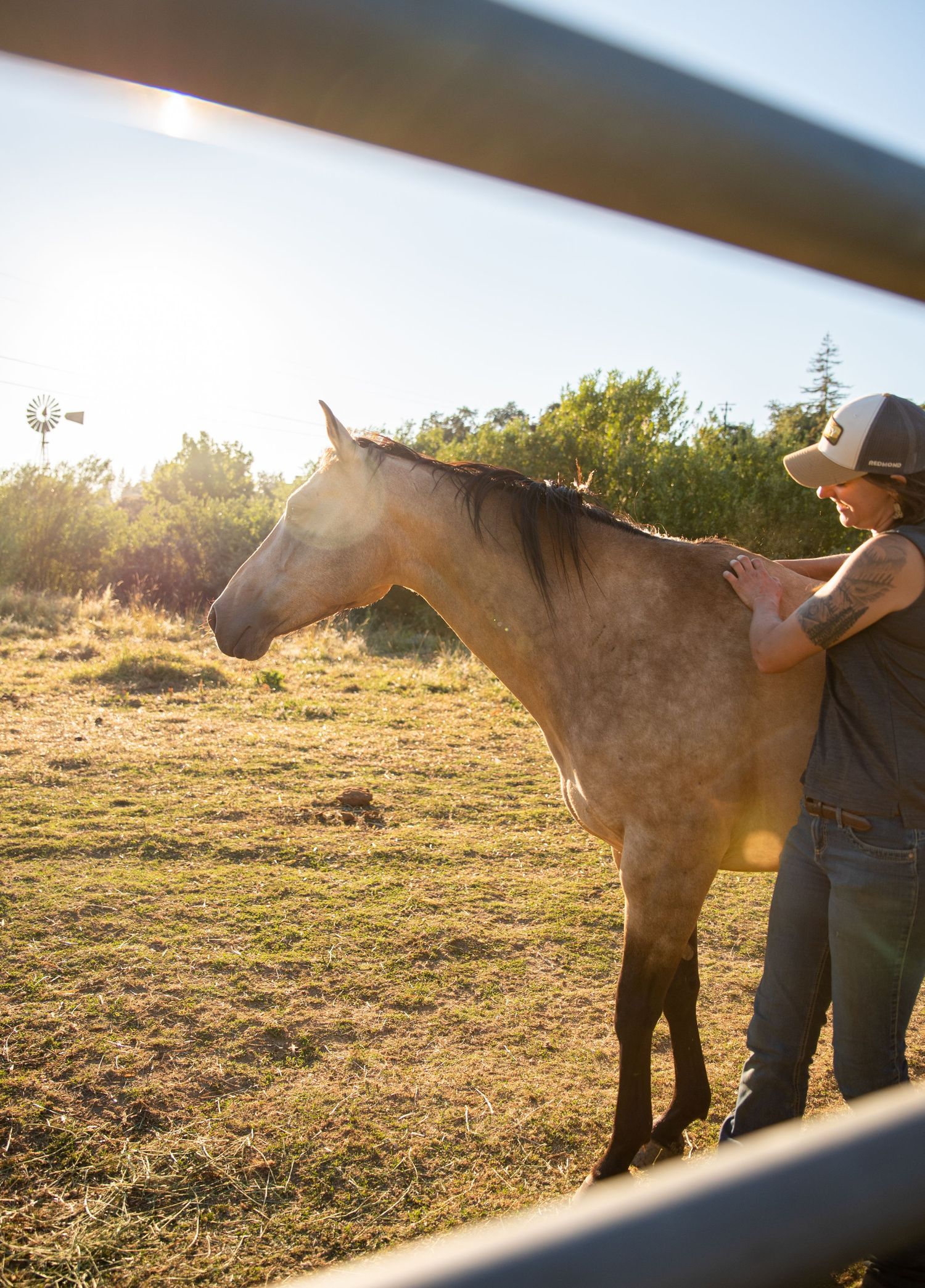 Horse and handler silhouetted against golden sunlight in grassy field.