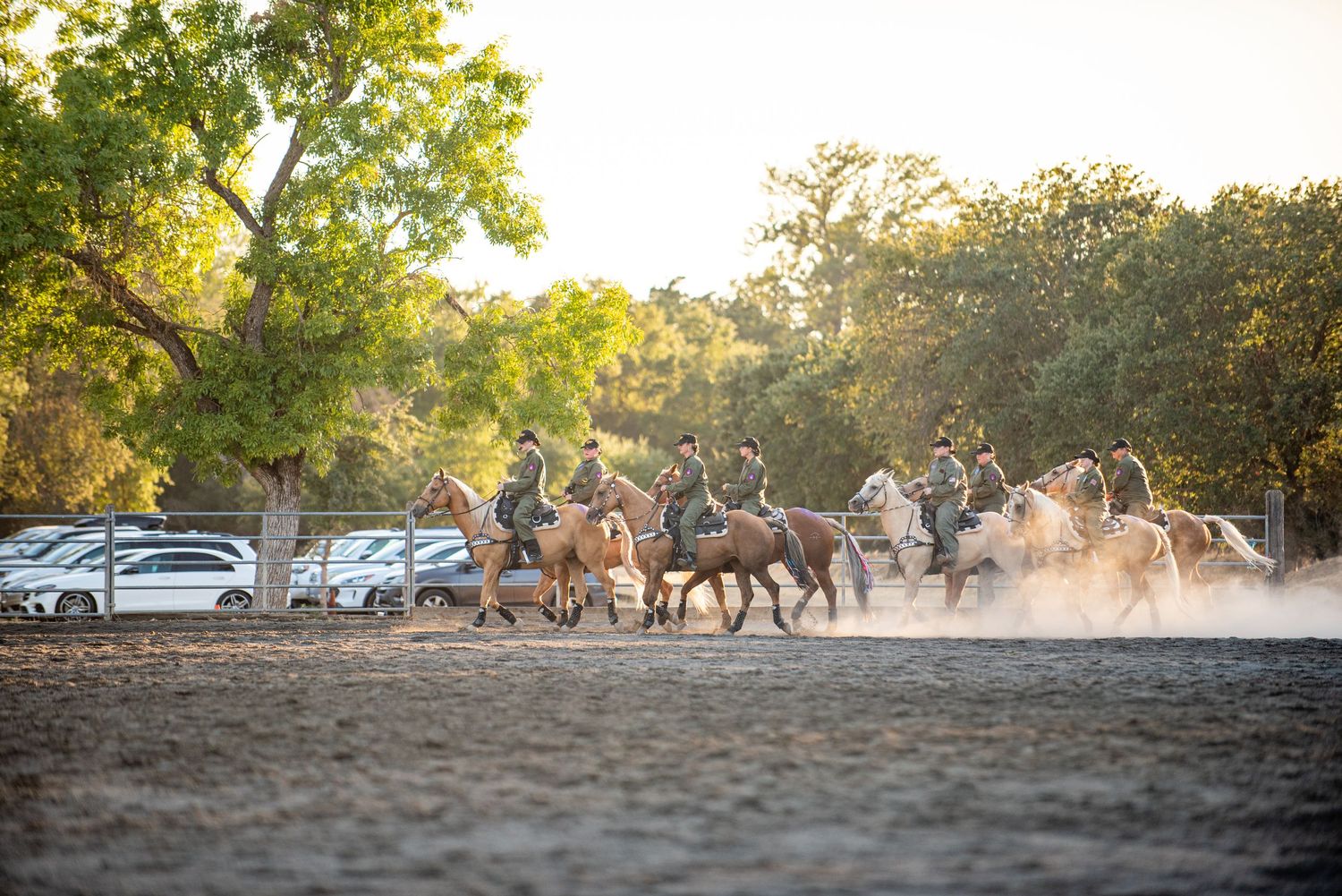 Panoramic sunset view of horses grazing in a dusty field.