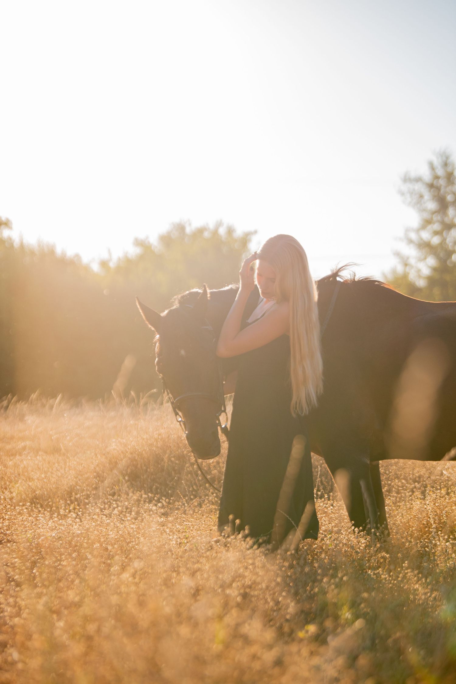Silhouettes of horses and handlers in tall grass during golden hour.