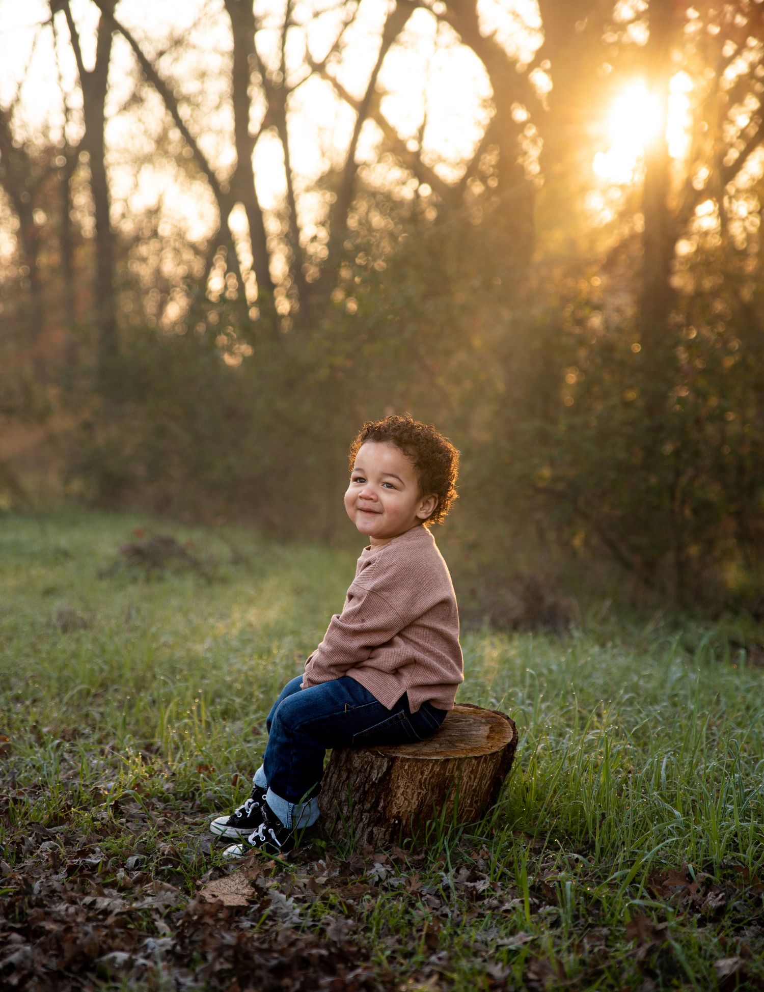 Child sitting on tree stump in wooded area during golden sunset.