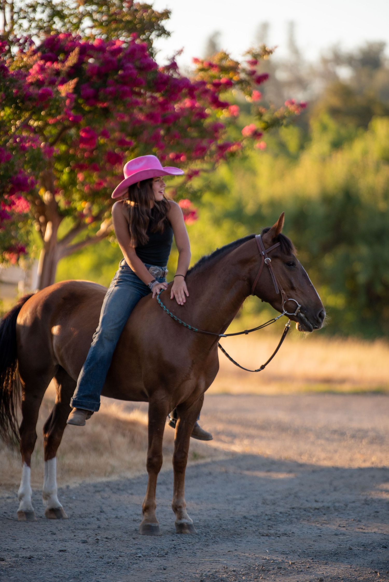 Horse and rider in pink hat stand beneath vibrant pink flowering tree at sunset.
