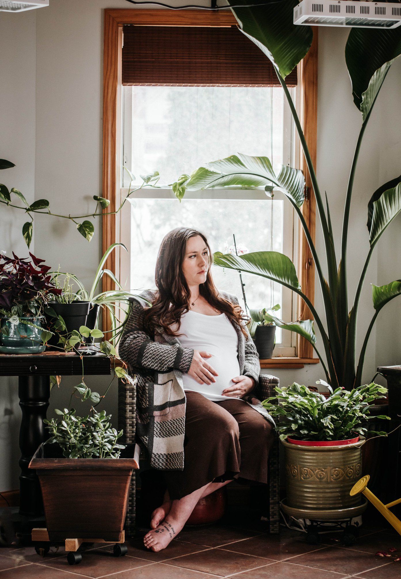 Cozy indoor space filled with houseplants and natural light streaming through wooden-framed windows.