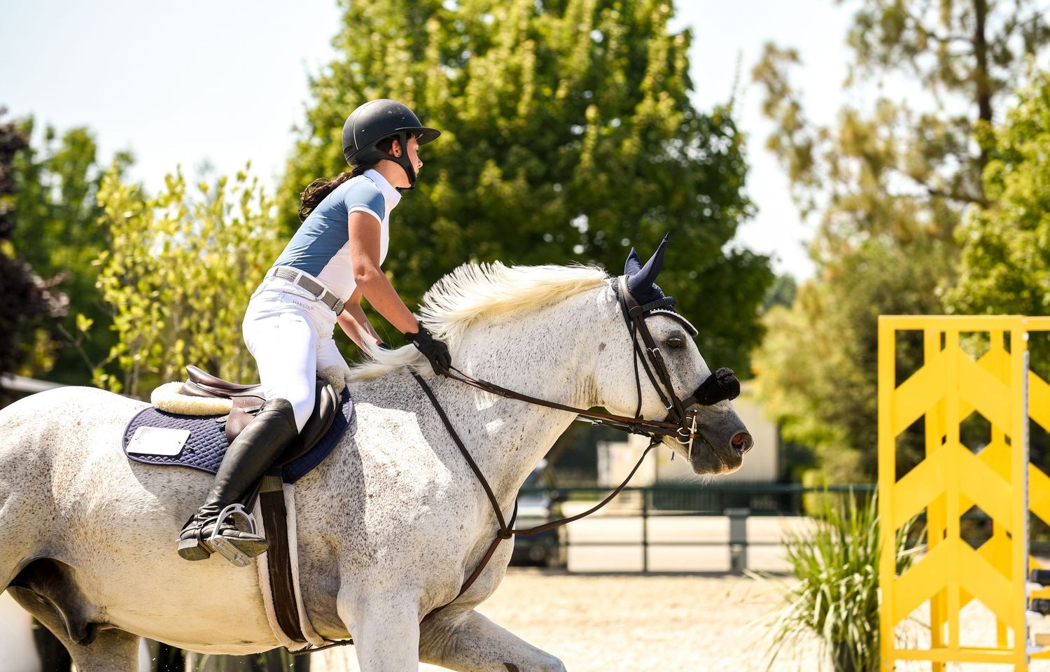 White horse and rider practicing jumps on equestrian course with yellow obstacles.