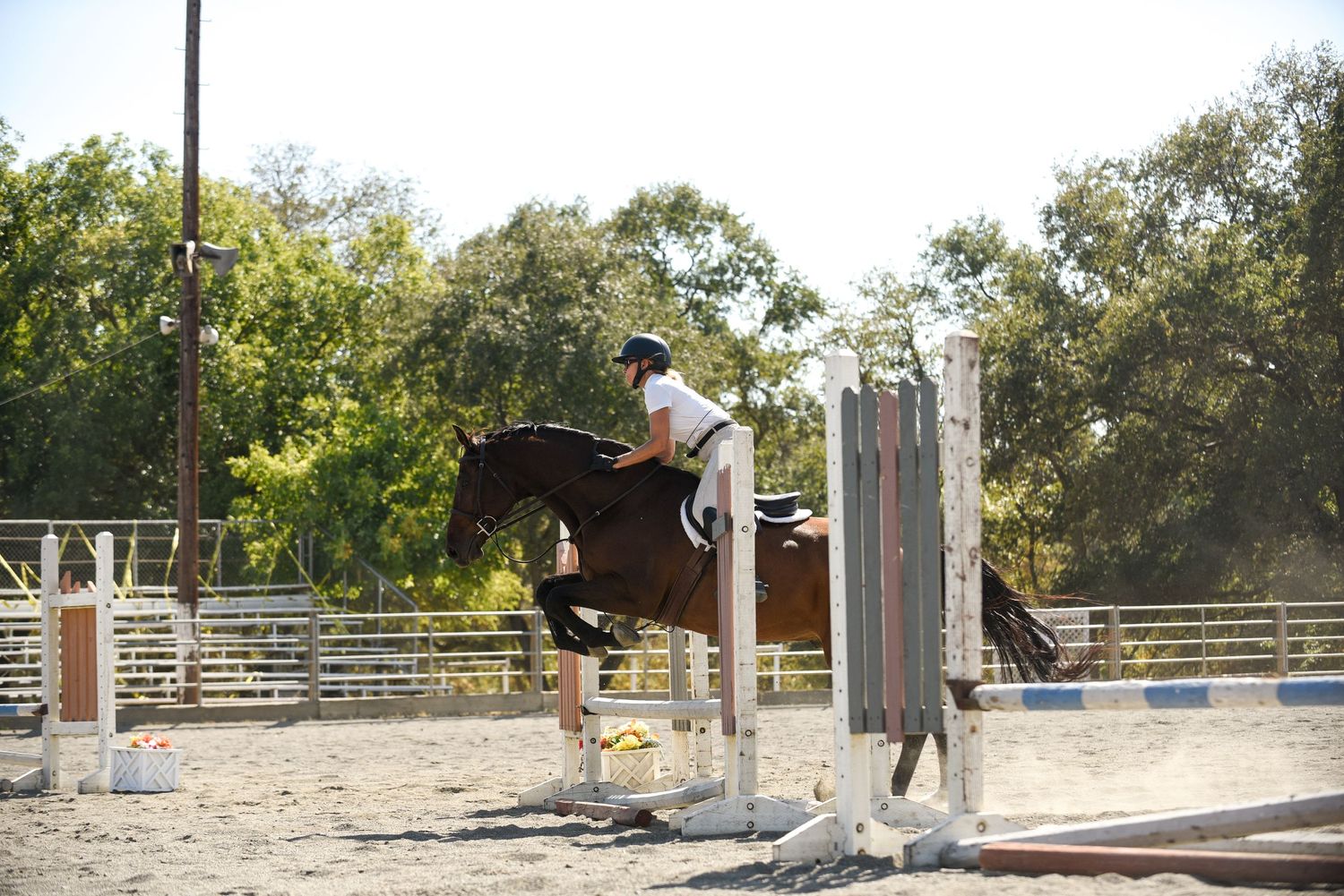 Equestrian jumping course with white obstacles and training equipment.