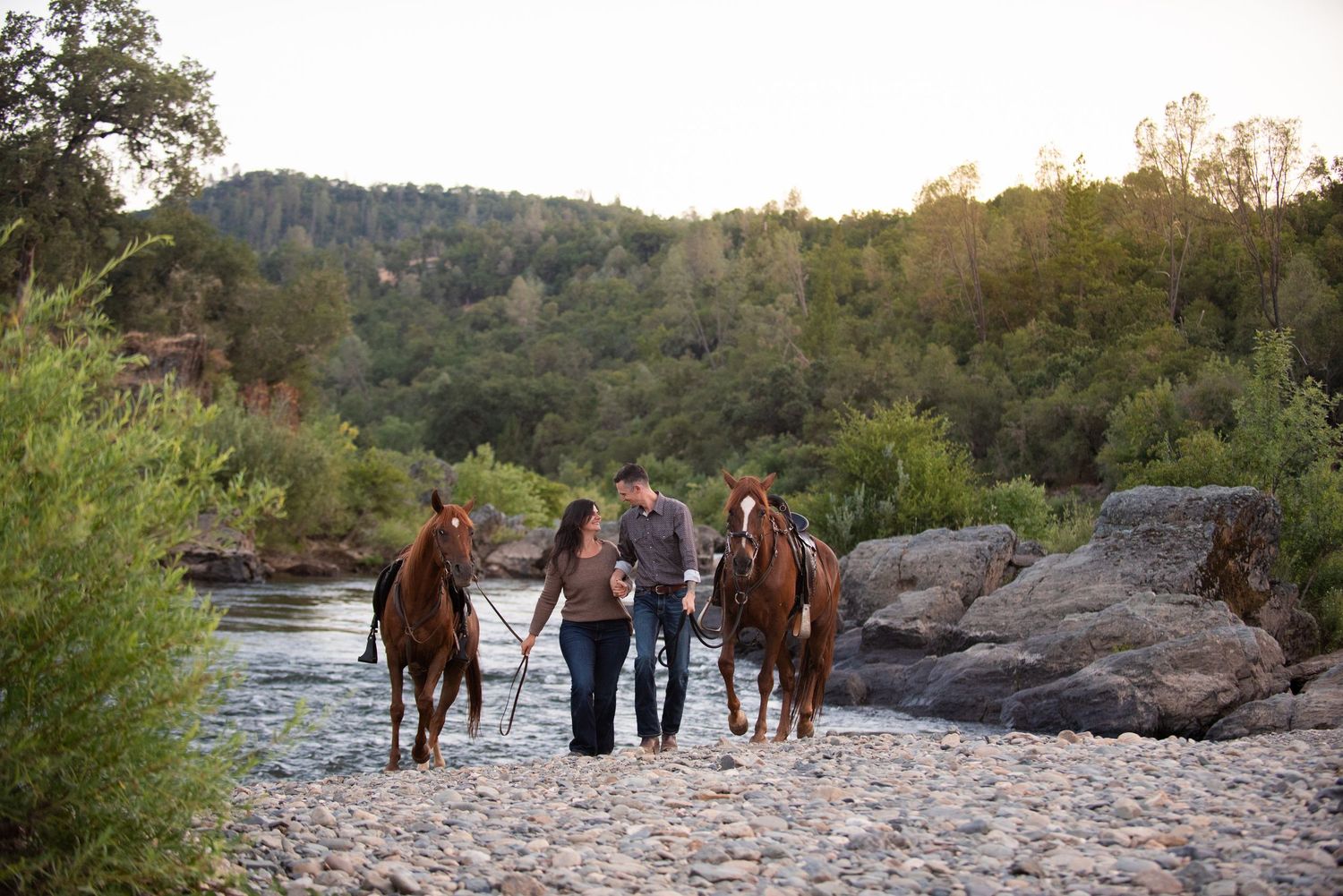 Group of horses and riders exploring a rocky riverbank surrounded by trees.