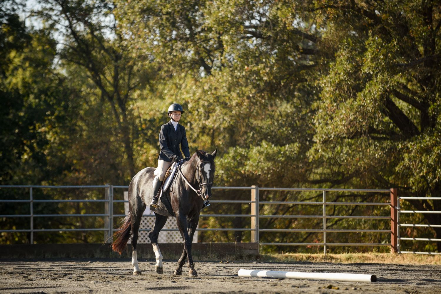 Horse and handler walking along fence line in autumn equestrian facility.