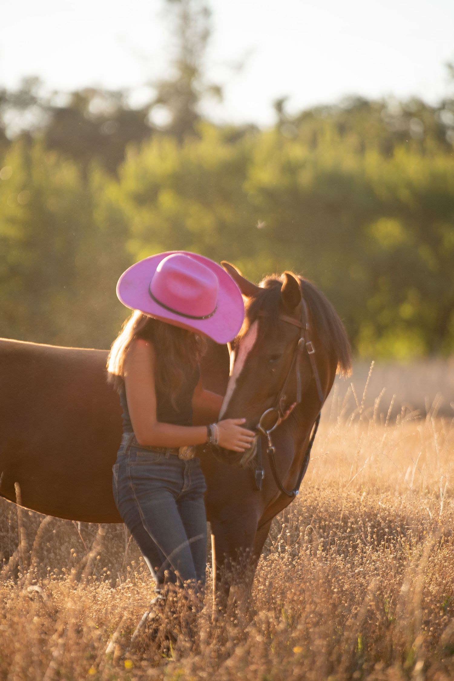 Person in pink hat bonding with brown horse in golden sunlit field.