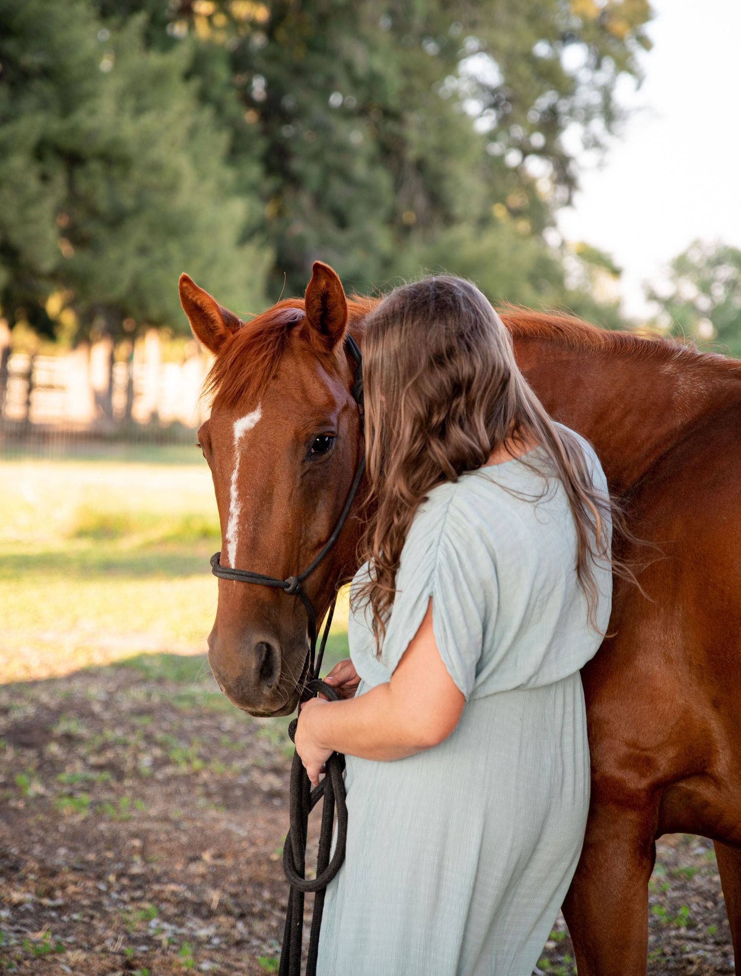 Chestnut horse receiving affectionate embrace in golden evening light.