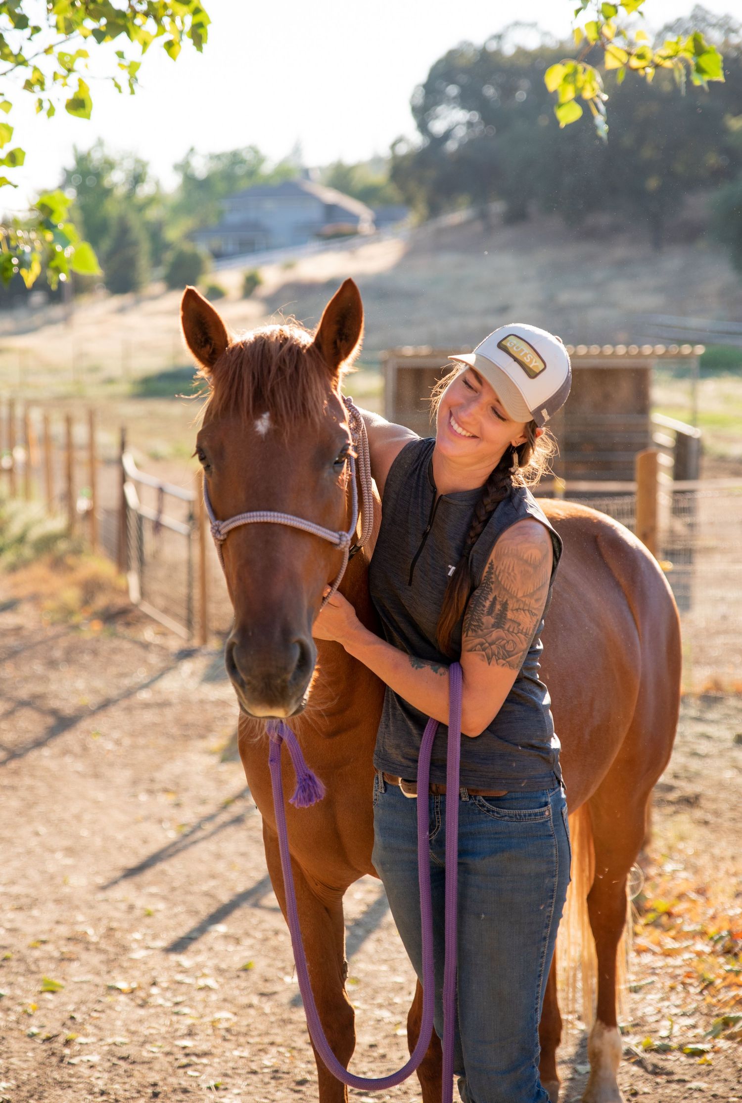 Beautiful brown horse with white markings being groomed in paddock during sunset.