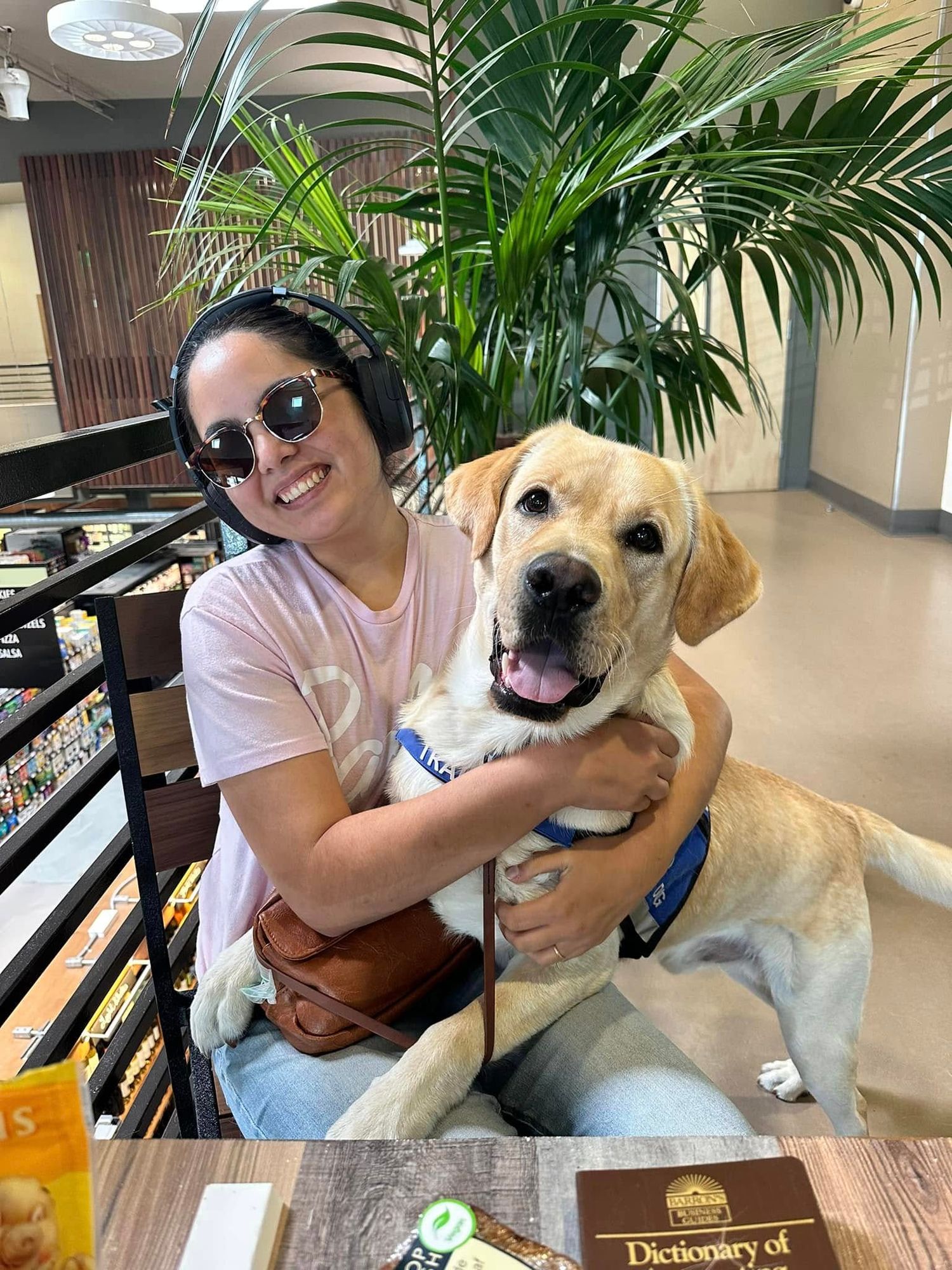 Happy yellow Labrador retriever cuddling on a balcony with tropical plants in the background.