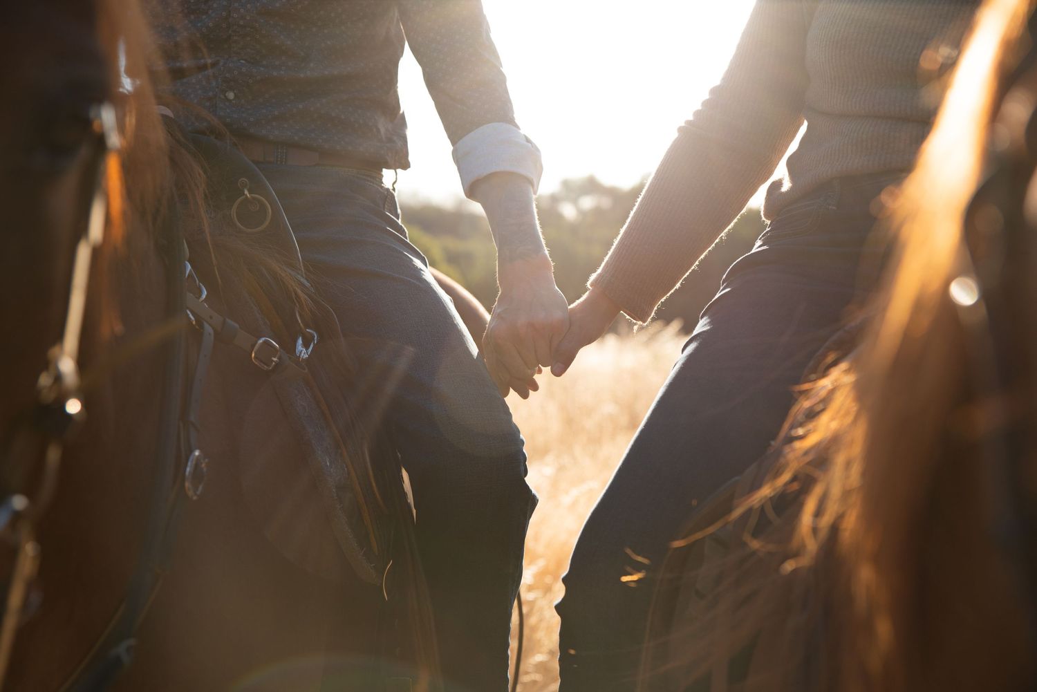 Sunlit horses and riders create dramatic silhouettes against bright sky.