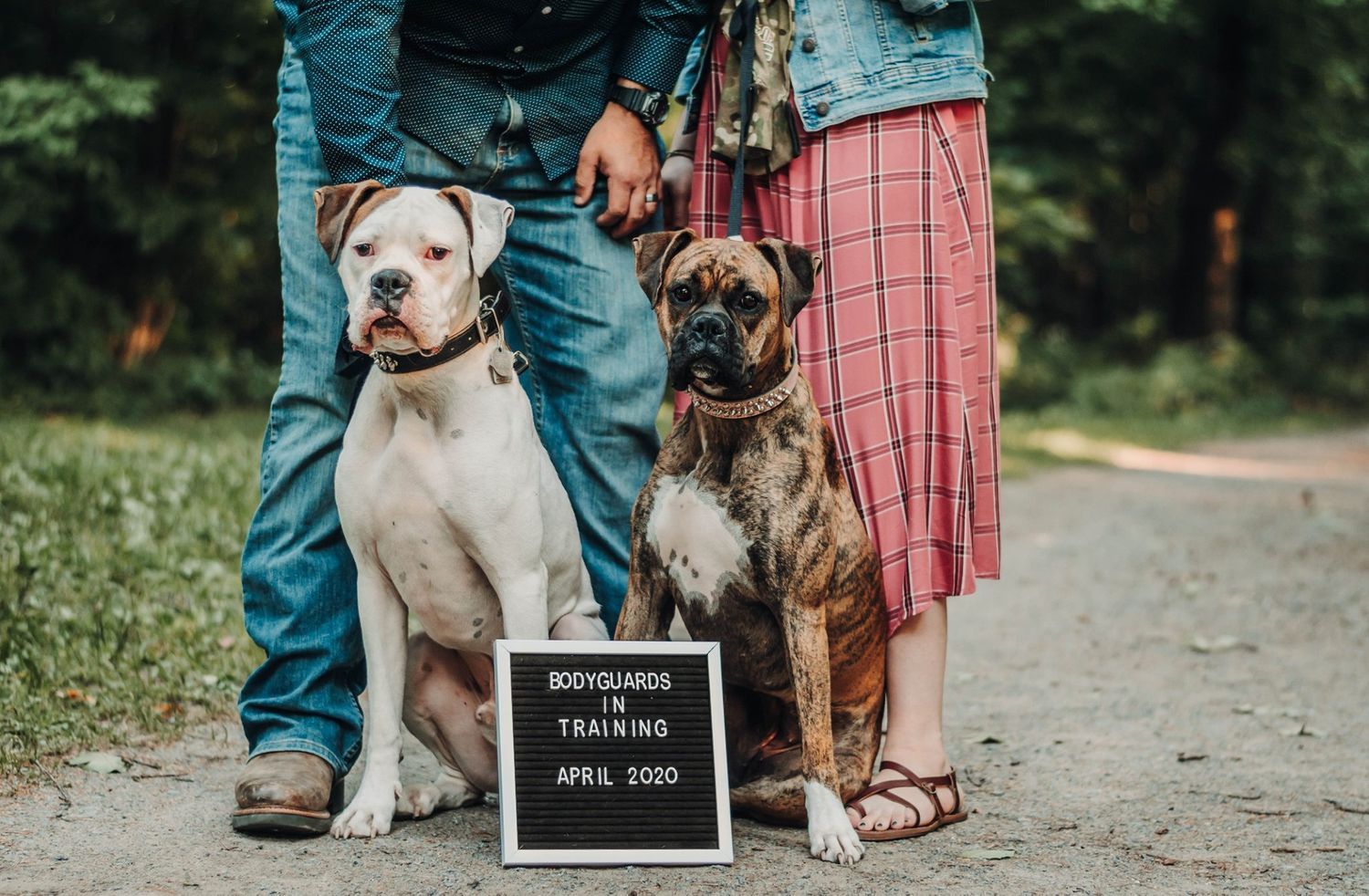 Couple poses with their two dogs and announcement sign on outdoor path.