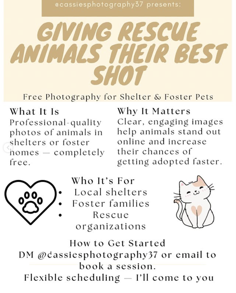 FREE PHOTOGRAPHY SERVICE FOR RESCUE/FOSTER DOGS IN WNY/BUFFALO AREA