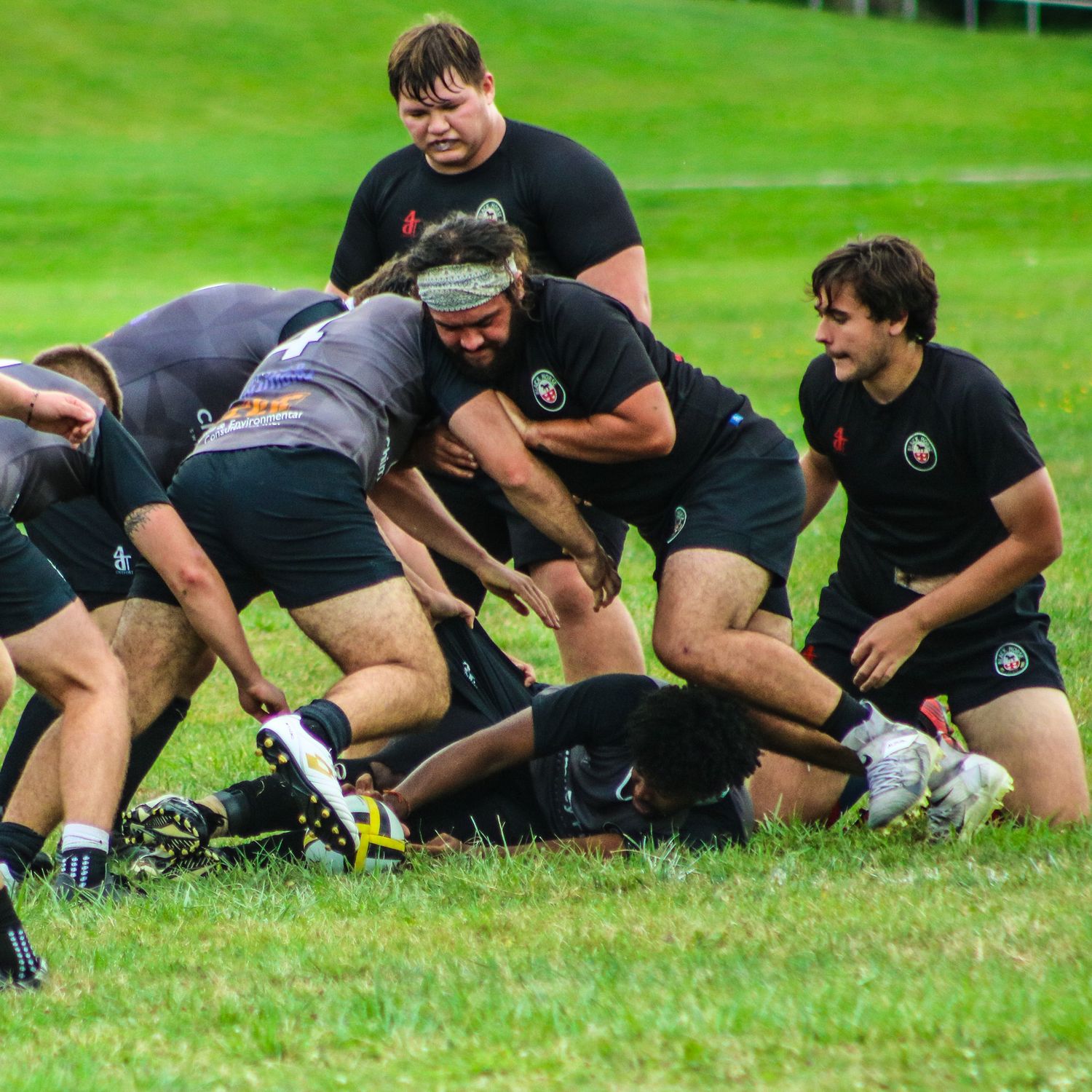 Mens Rugby- Fredonia Blackhorse Rugby