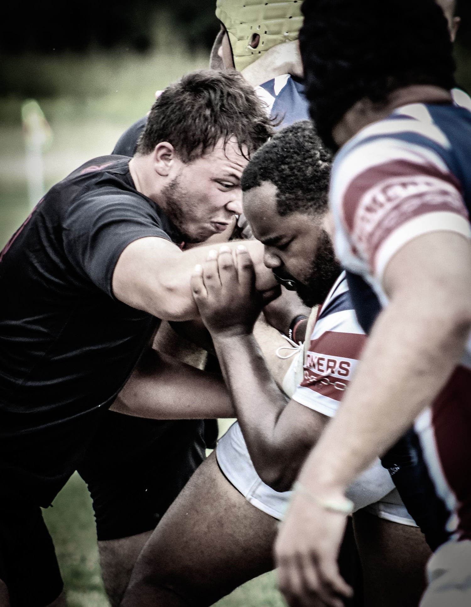 Mens Rugby- Fredonia Blackhorse Rugby