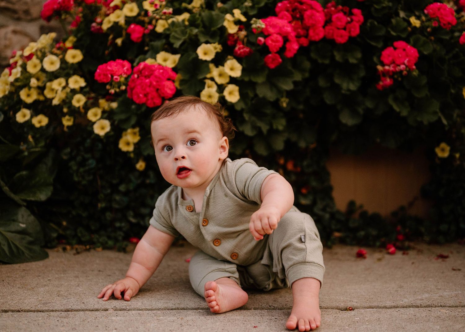 Curious baby boy in sage romper crawling on pavement in front of vibrant red and yellow flowers.