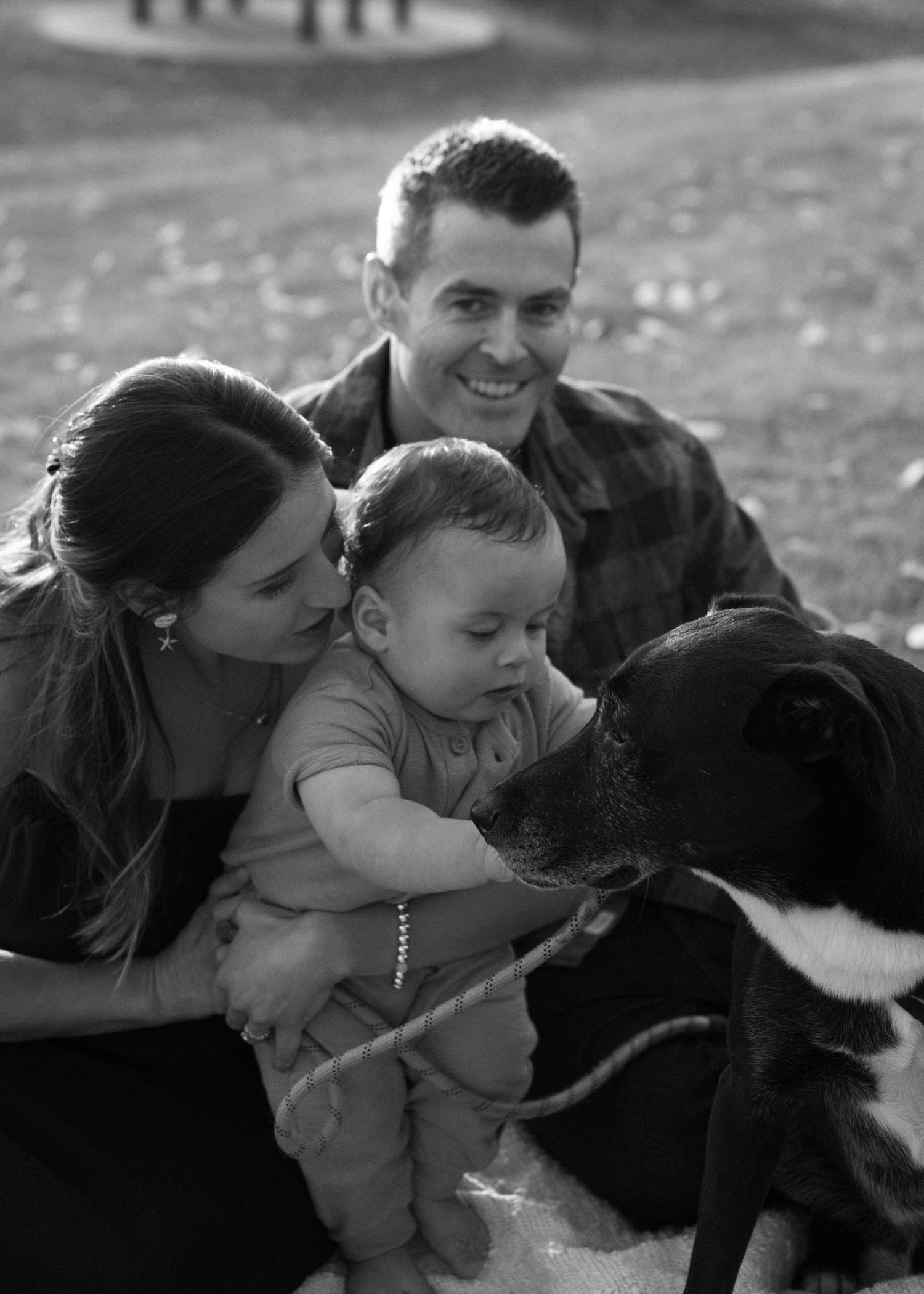 Black and white family photo with parents and baby meeting their large friendly dog outdoors.