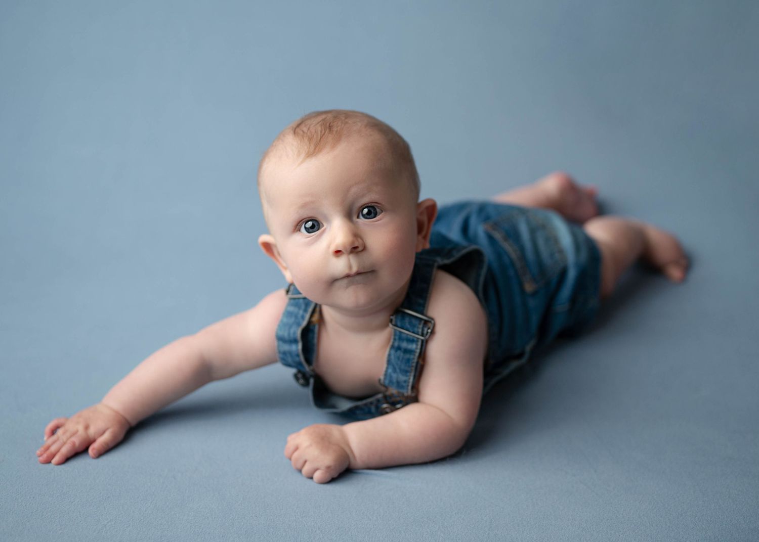 Baby boy in denim overalls doing tummy time on blue studio backdrop during professional milestone portrait session.