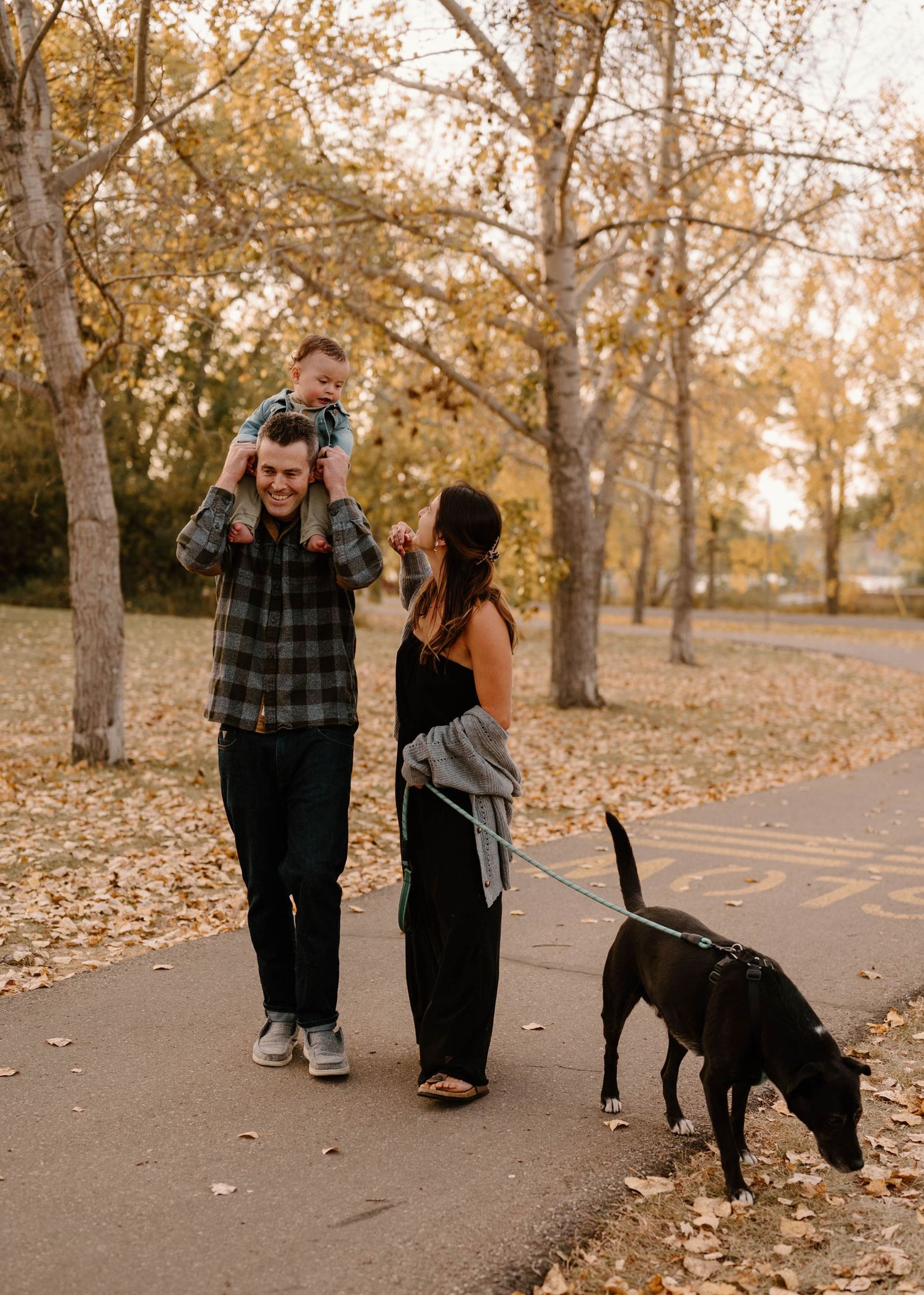 Young family walking in autumn park, father carrying baby on shoulders while mother walks their dog.