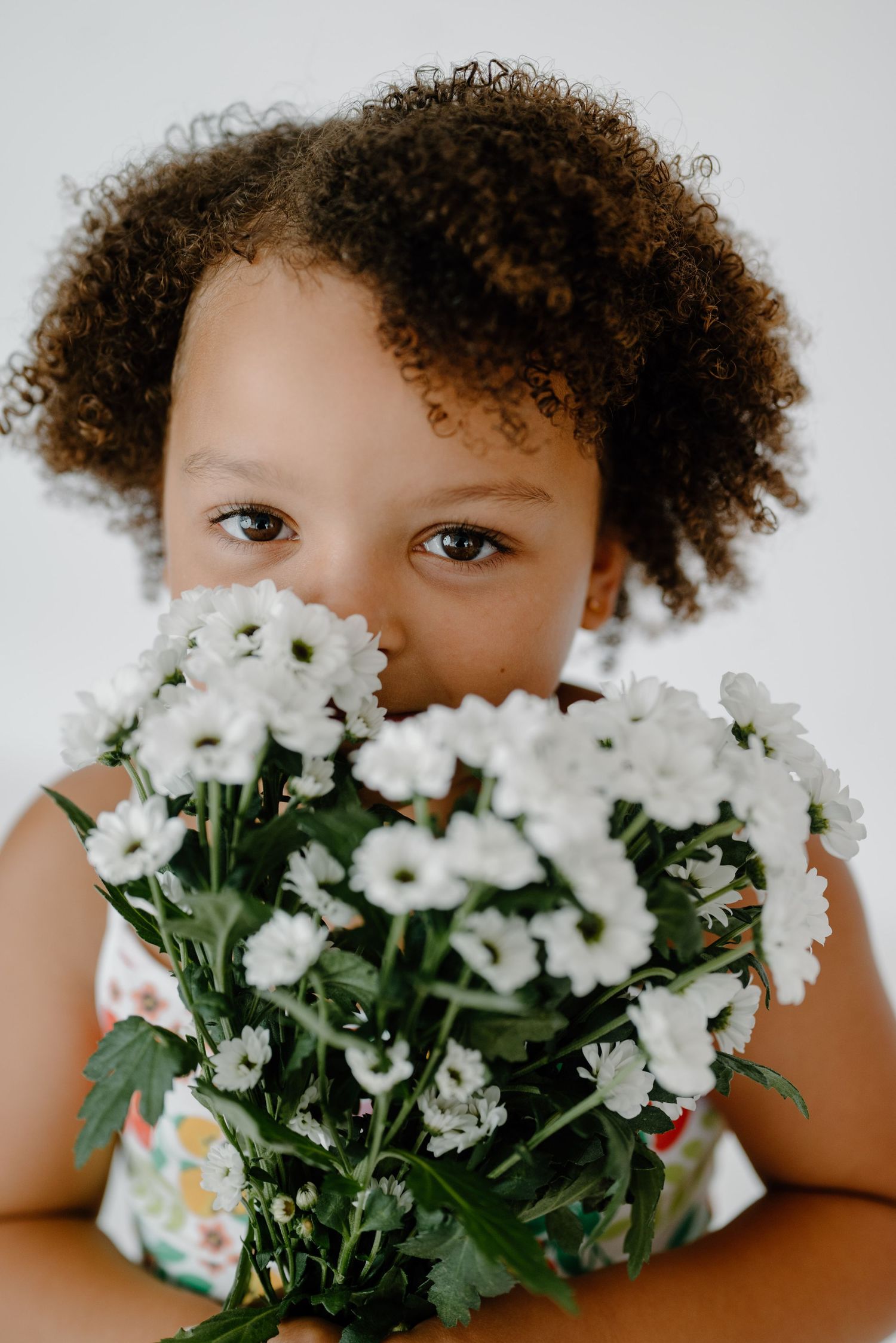Adorable curly-haired little girl hiding behind bouquet of white flowers on white background.