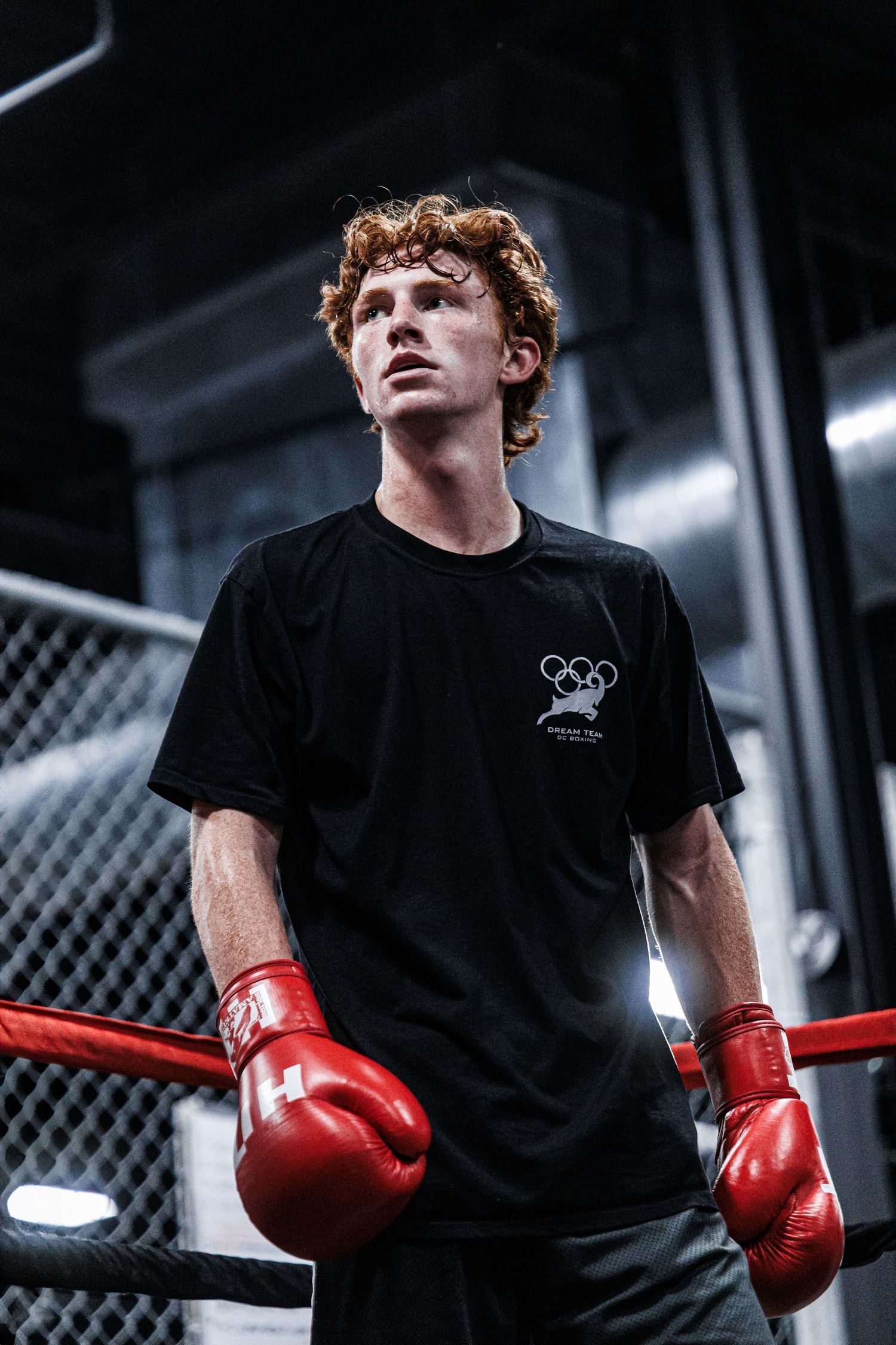 Fighter wearing black t-shirt and red boxing gloves stands in a boxing ring looking upward with dramatic lighting.