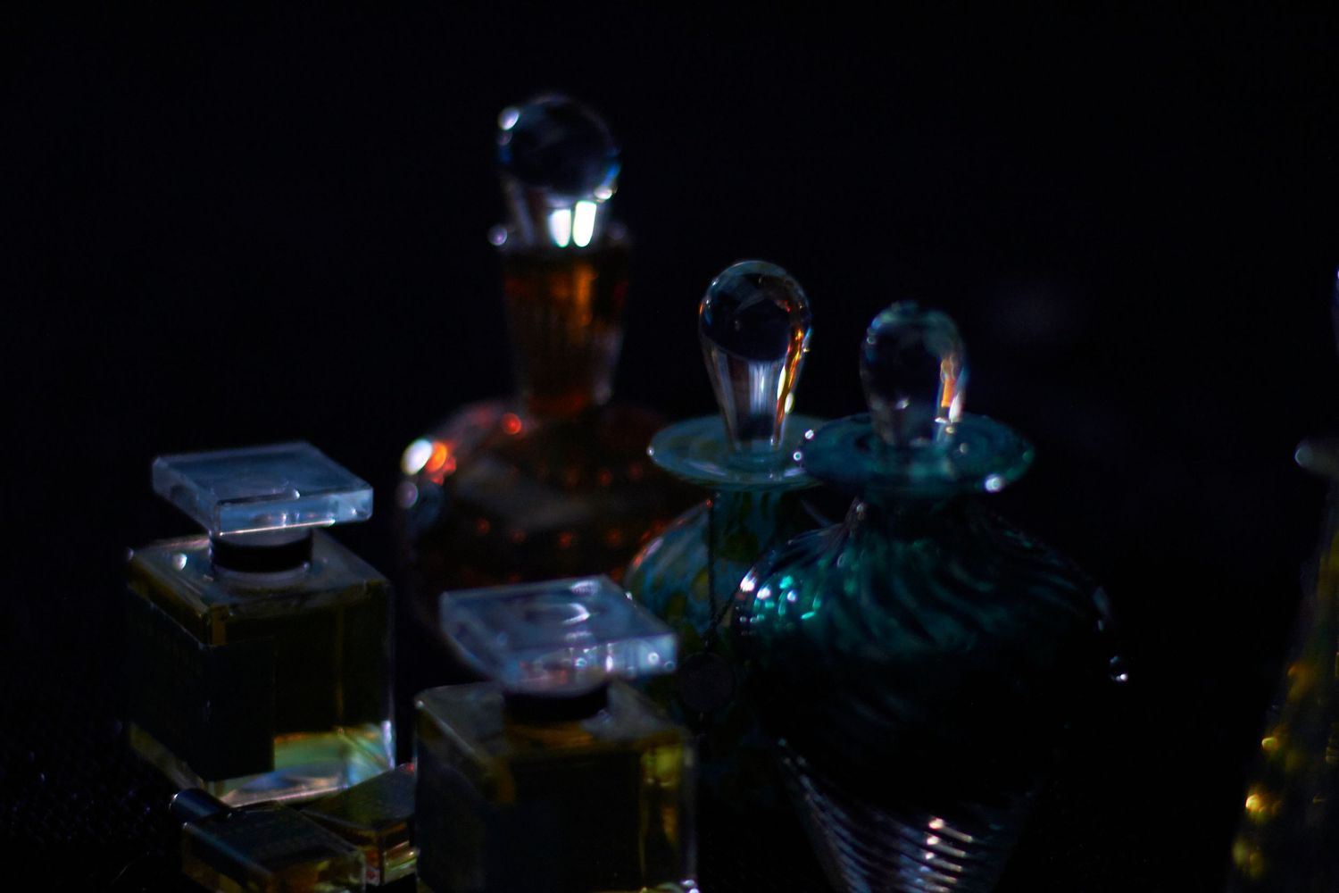 Curio Noir perfume