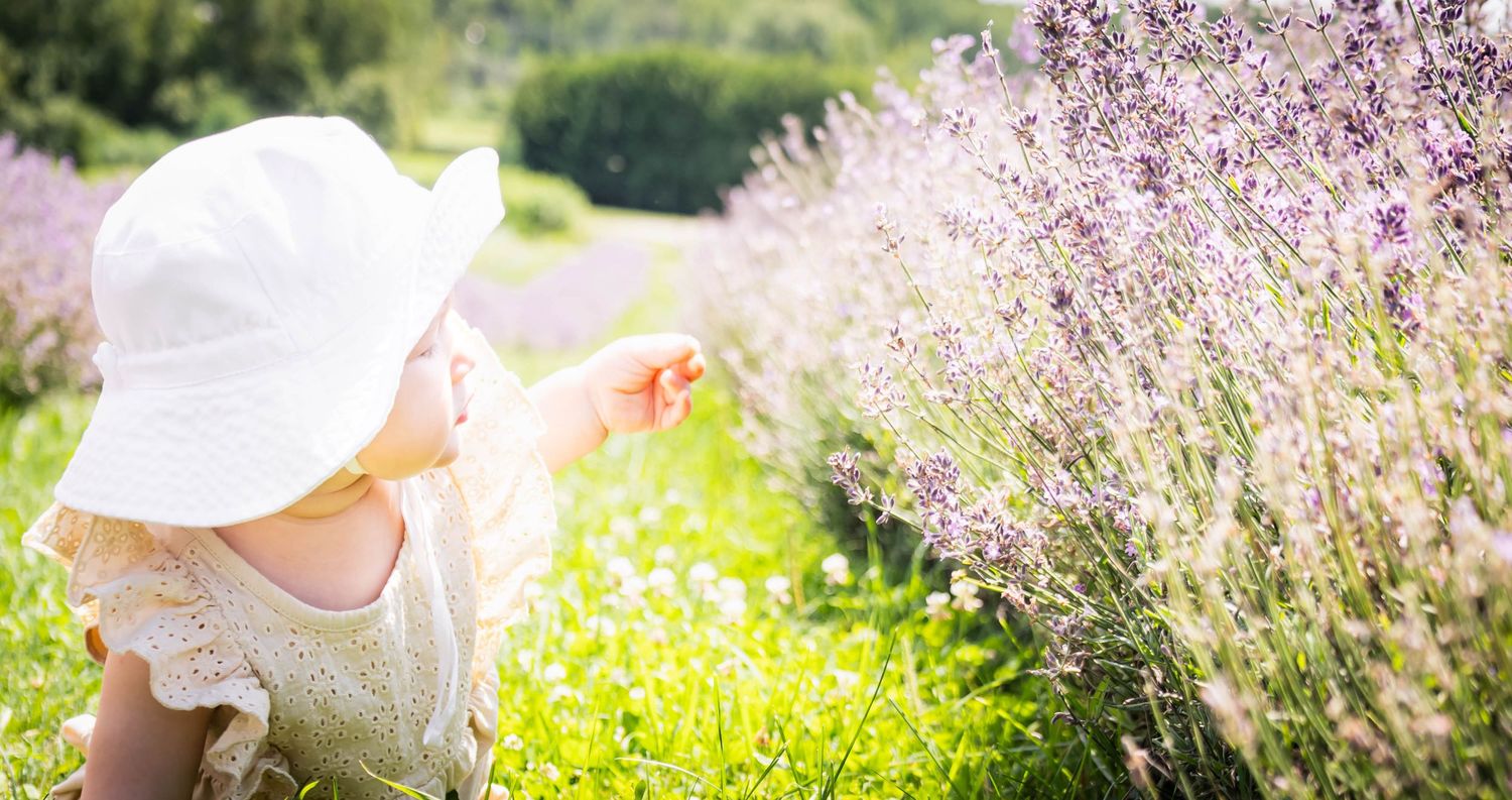 Photographie Lynzey Amber Photographie (Sherbrooke, Eastern Townships, Estrie, St-Hyacinthe)