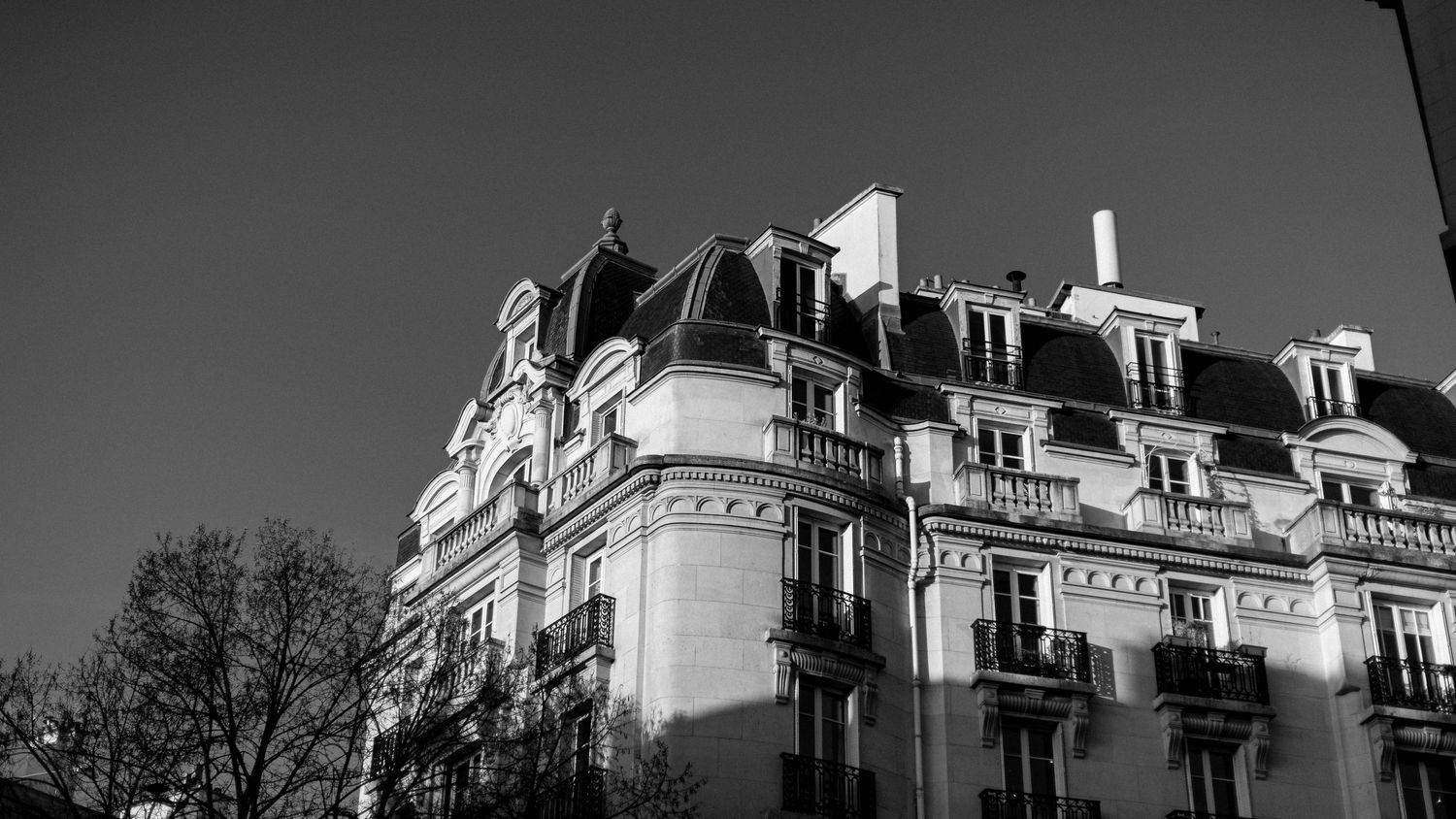Black and white panoramic cityscape of historic buildings with ornate architectural details and mansard roofs.