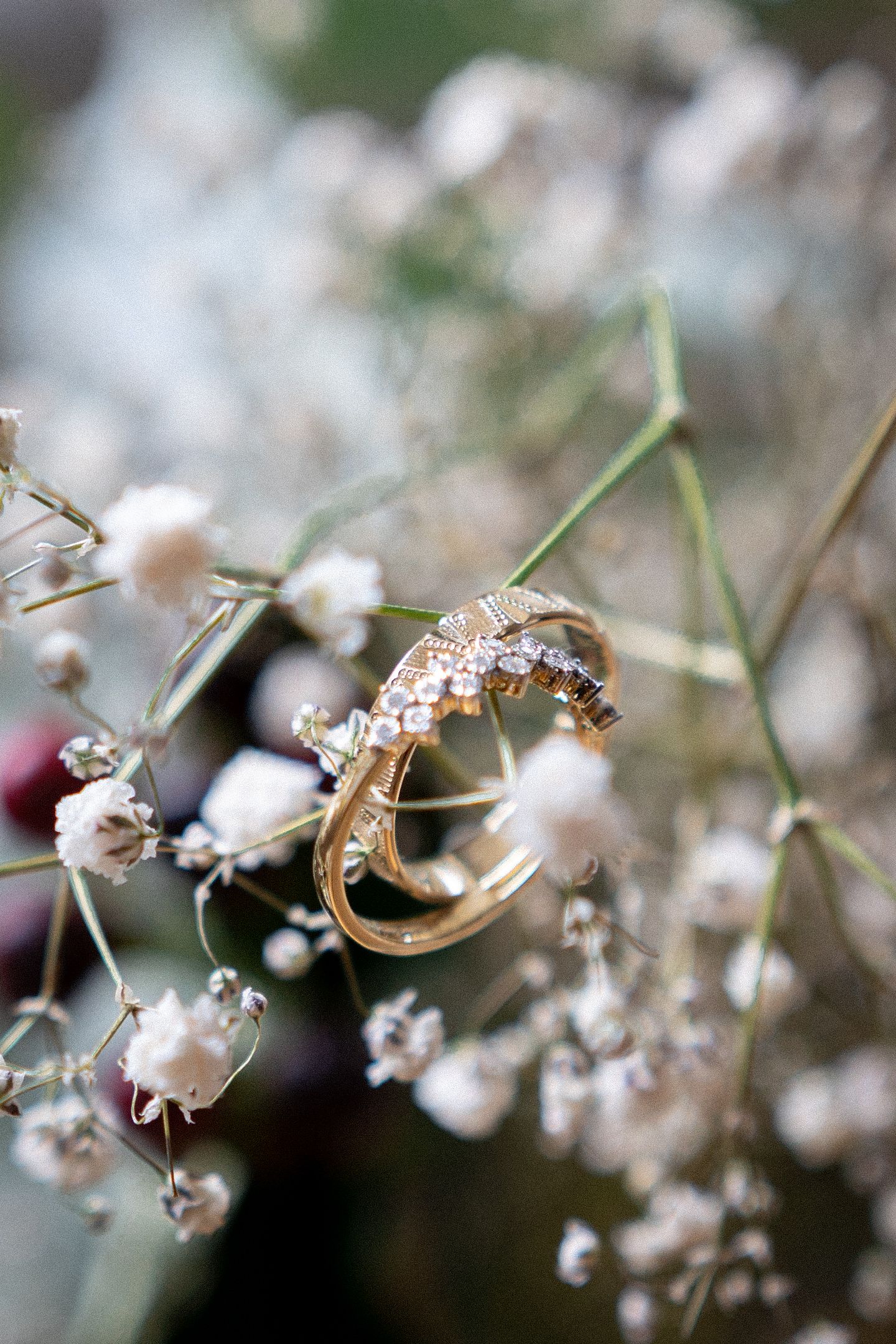 Wedding rings nestled among delicate white flowers in a macro photography sequence.
