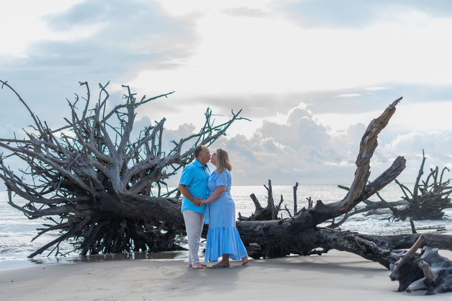 Driftwood scattered along a white sand beach with bright blue beach blankets and chairs visible in the distance.