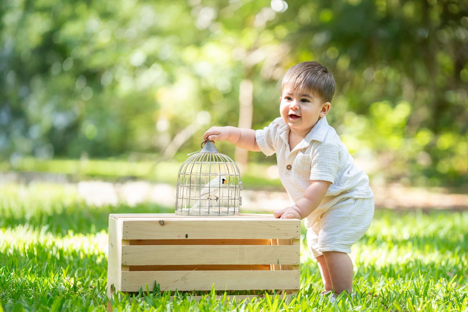 White wooden produce crate sits on lush green grass during a bright sunny day in a garden setting.