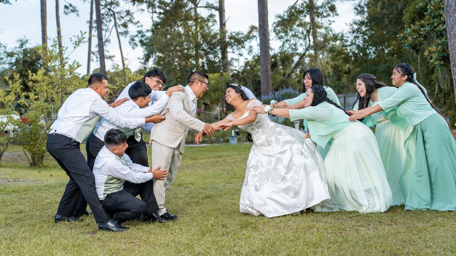 Wedding party playfully tugging the bride and groom apart on a green lawn with trees in background.