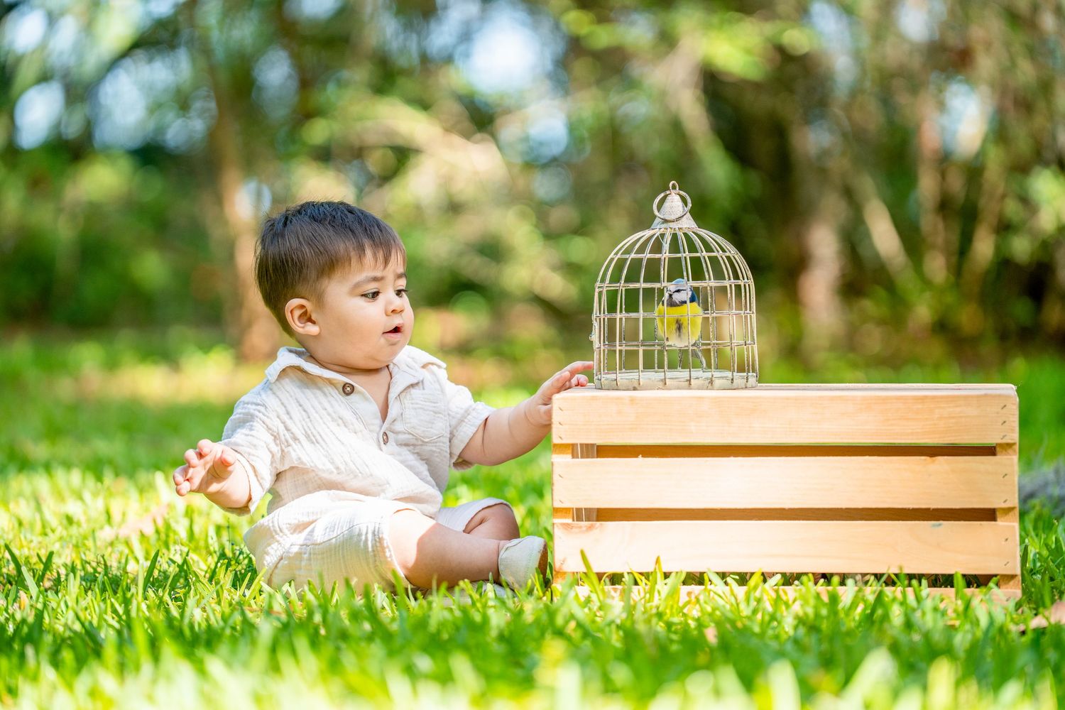 A child sits on grass beside a decorative bird cage on wooden crates in a sunny garden setting.